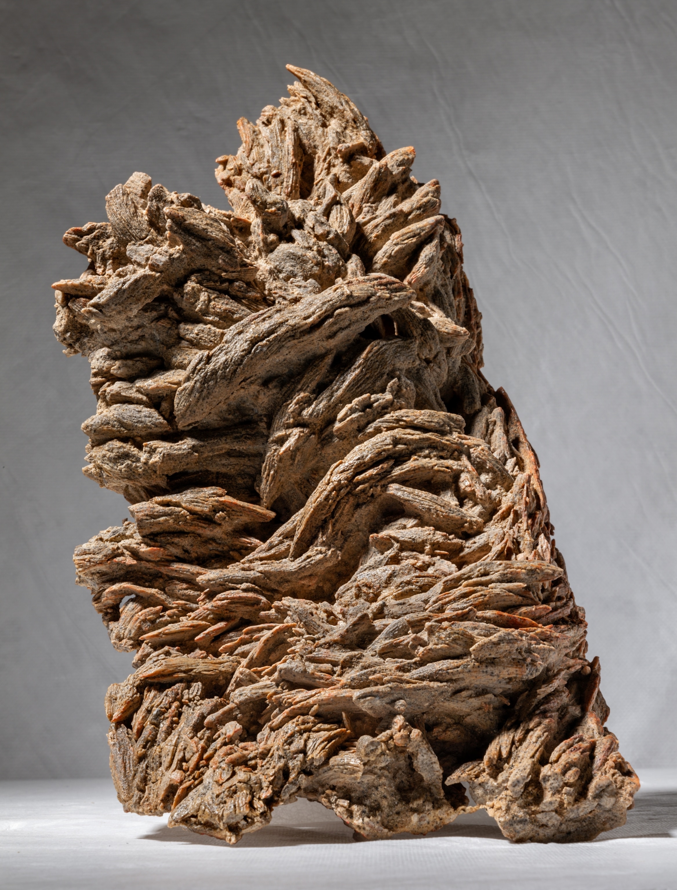 Natural cast made from dirt of tree roots showing many visible layers