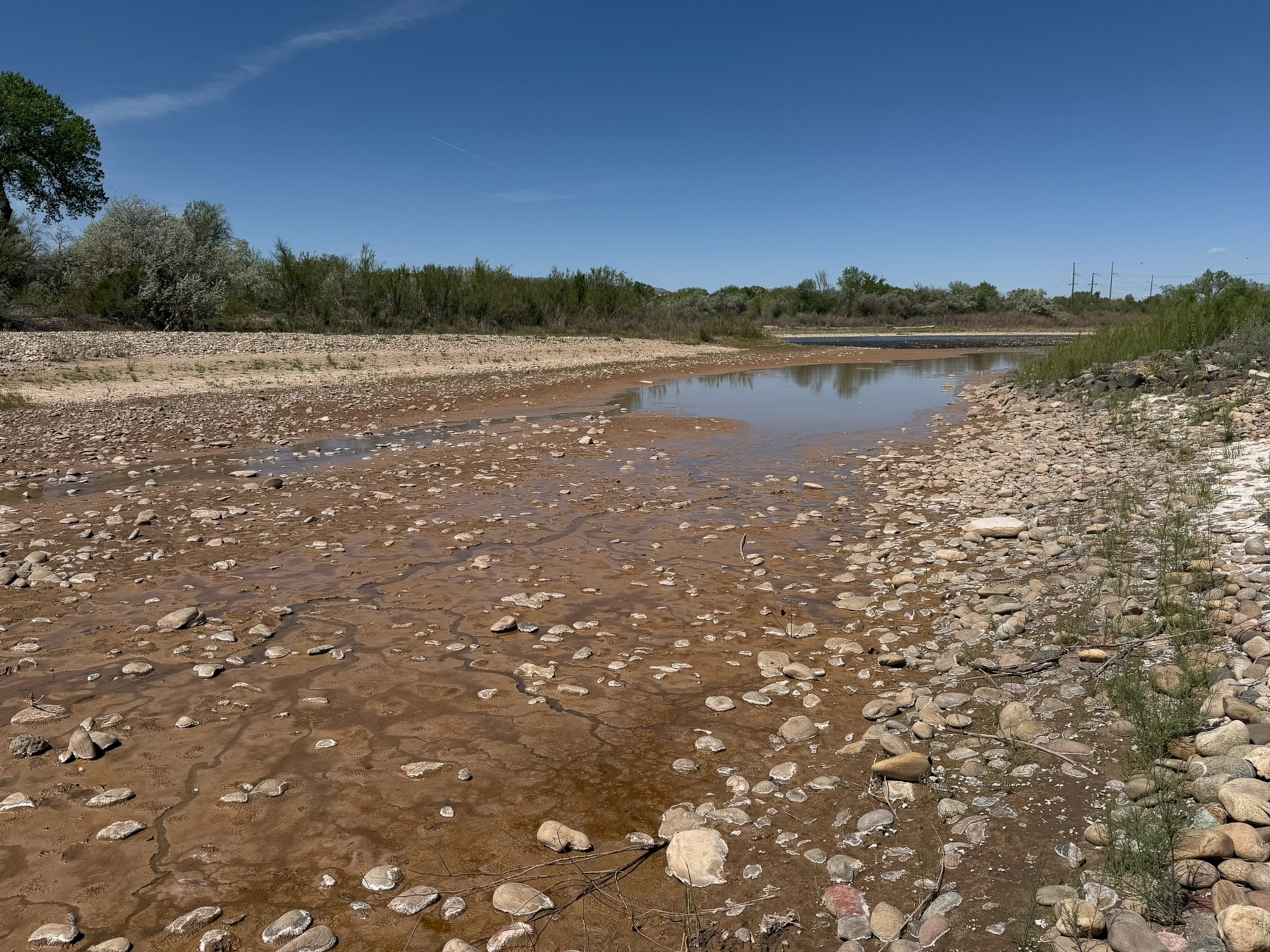 Dry riverbed with scattered rocks and sparse water against a clear blue sky. Sparse vegetation lines the banks