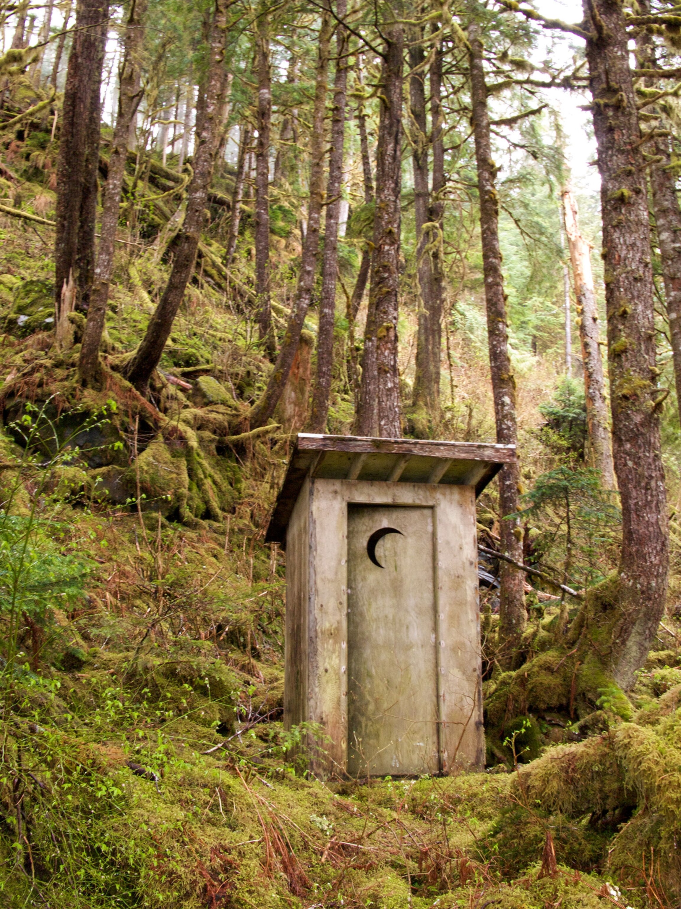 an outhouse in a forest