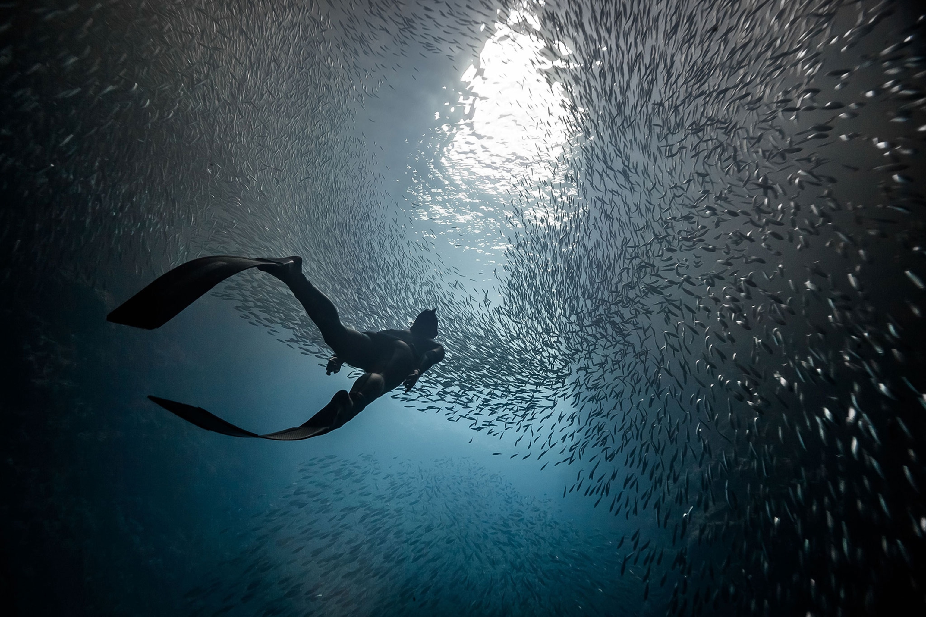 a freediver in Tonga