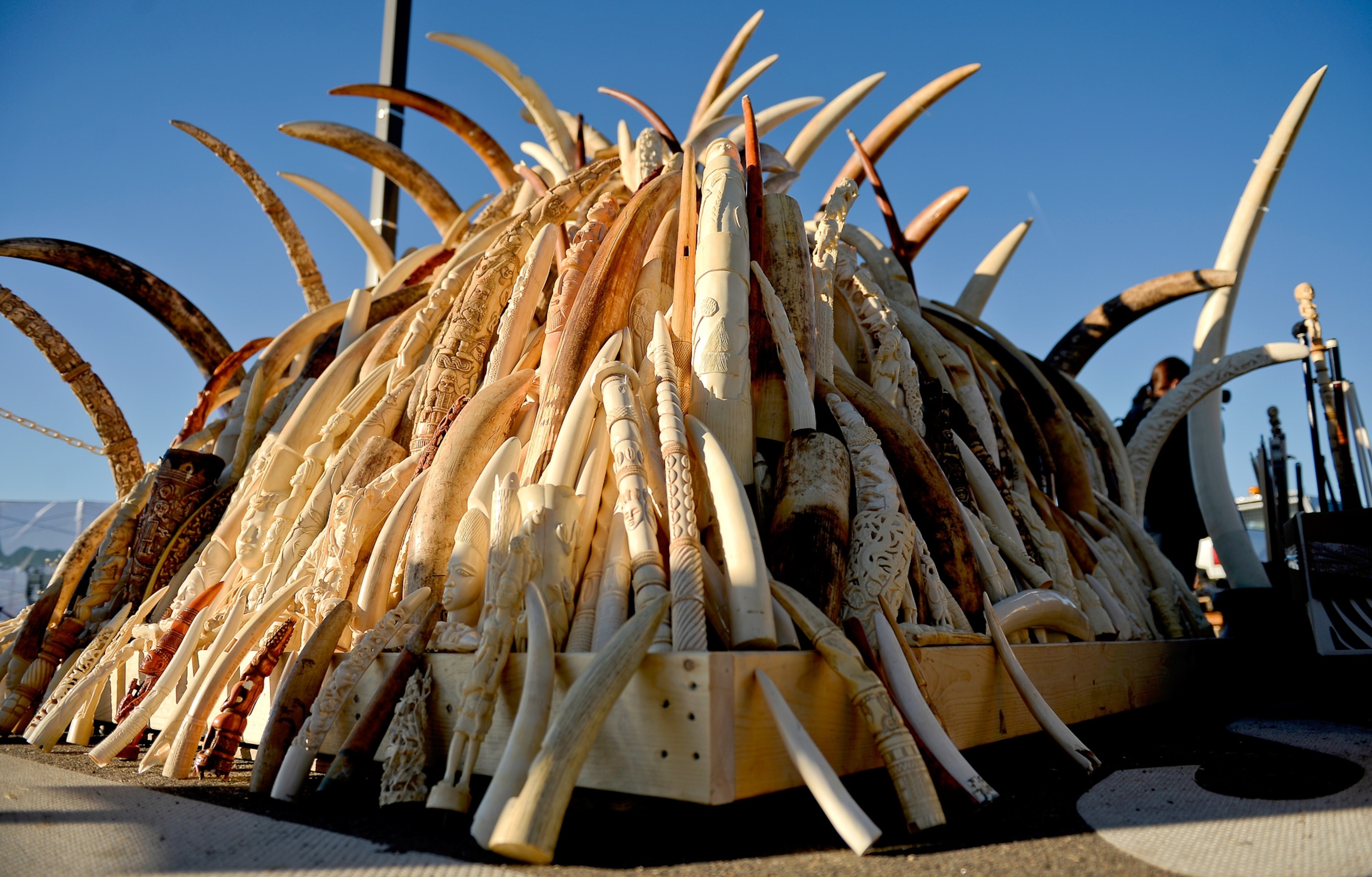 Elephants in Tsavo East National Park in Kenya.