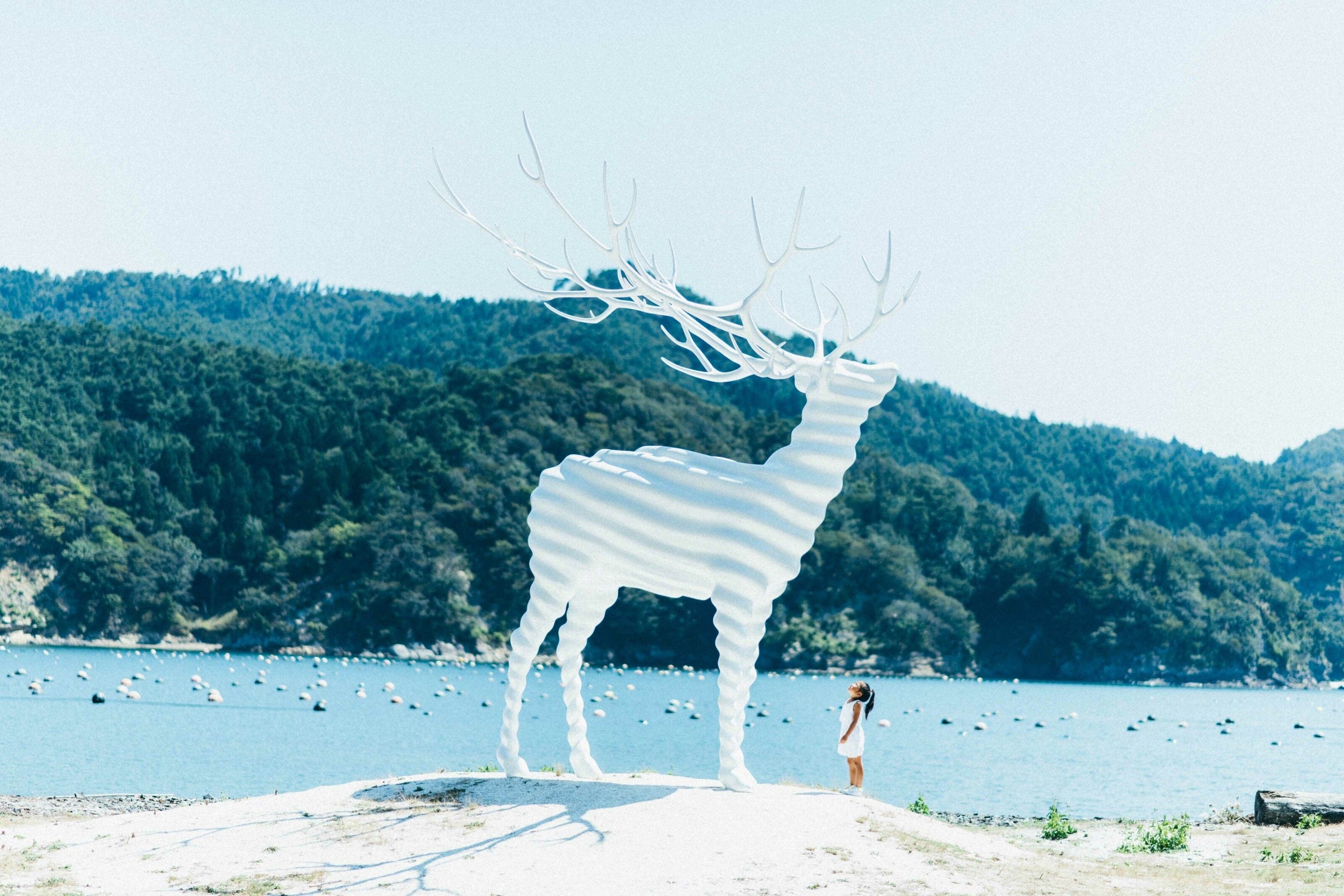 Kohei Nawa's White Deer is a sculptural work using modern technology to reinterpret the “divine deer” depicted in ancient Japanese mythology.