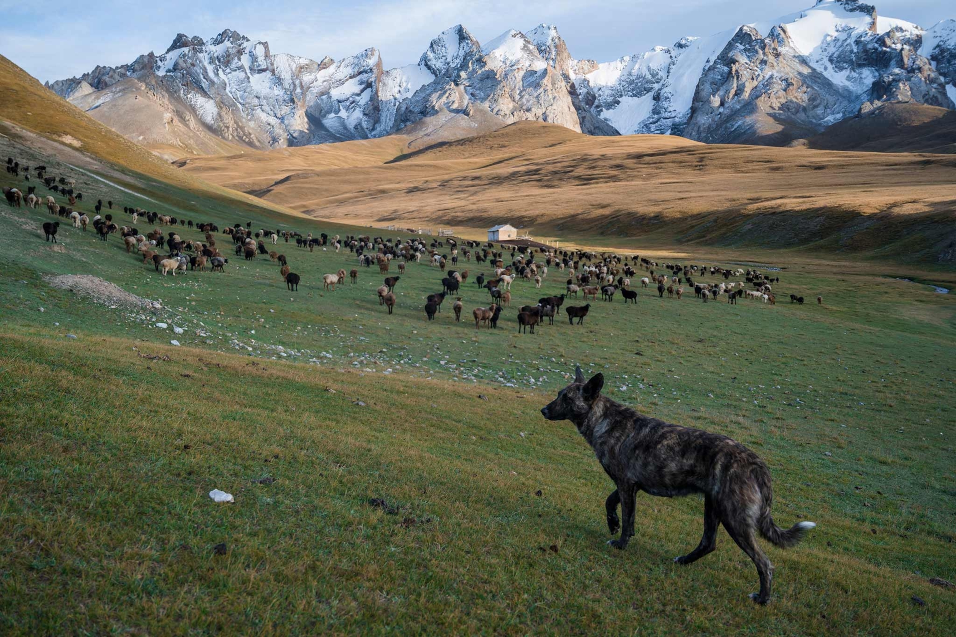 Tian Shan mountain range.