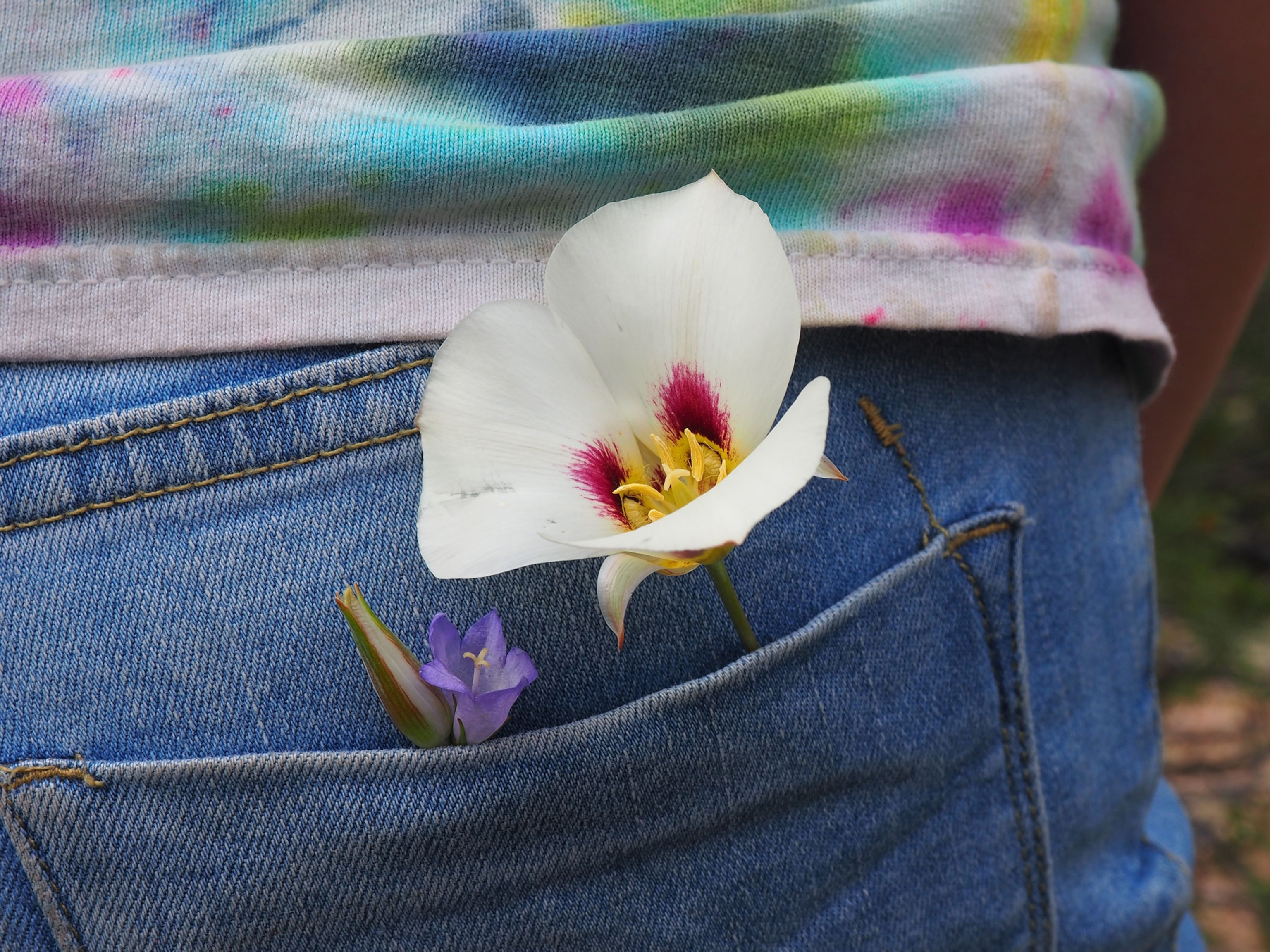 a flower in the back pocket of jeans