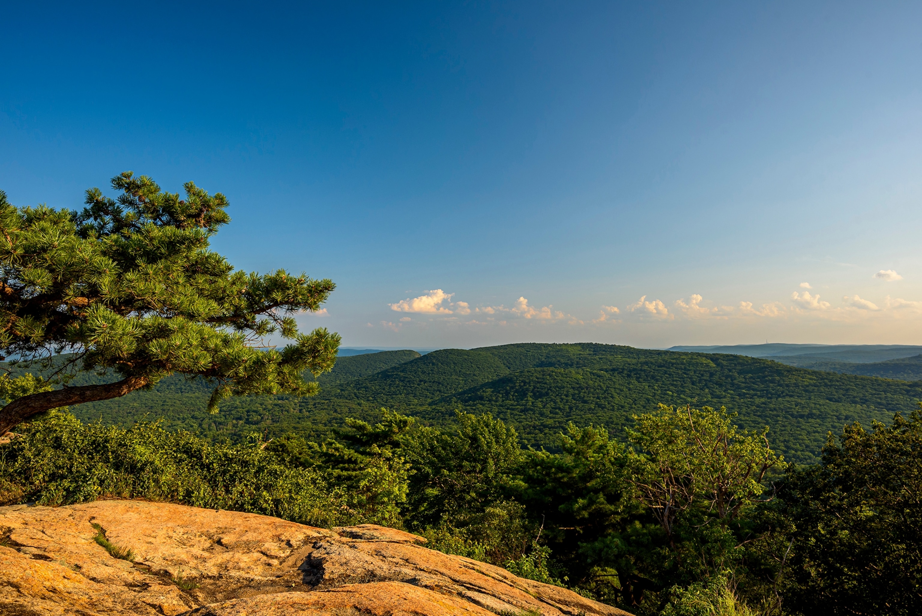 view from Bear Mountain State Park lookout