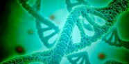 Cool Dna Wallpaper