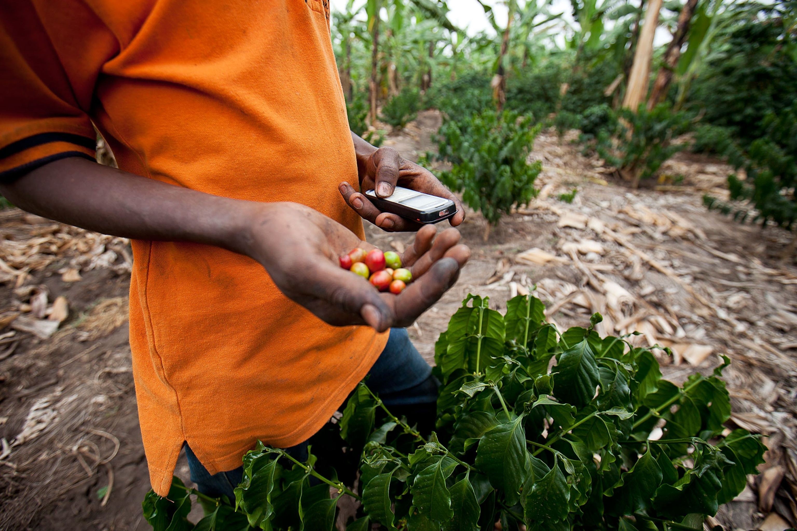 a farmer in Uganda with a cell phone