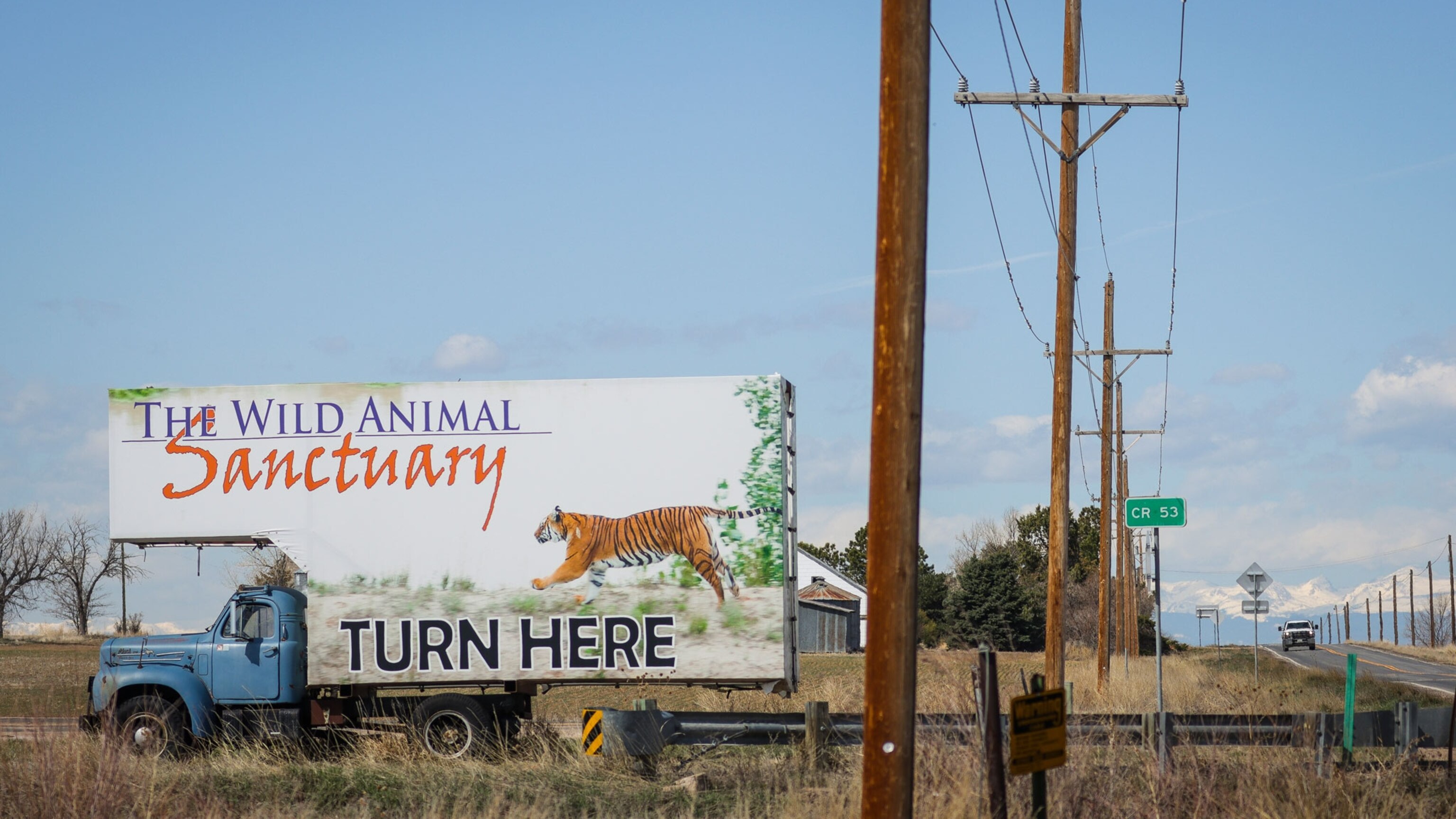 Tiger King zoo owner now banned from exhibiting animals—for life