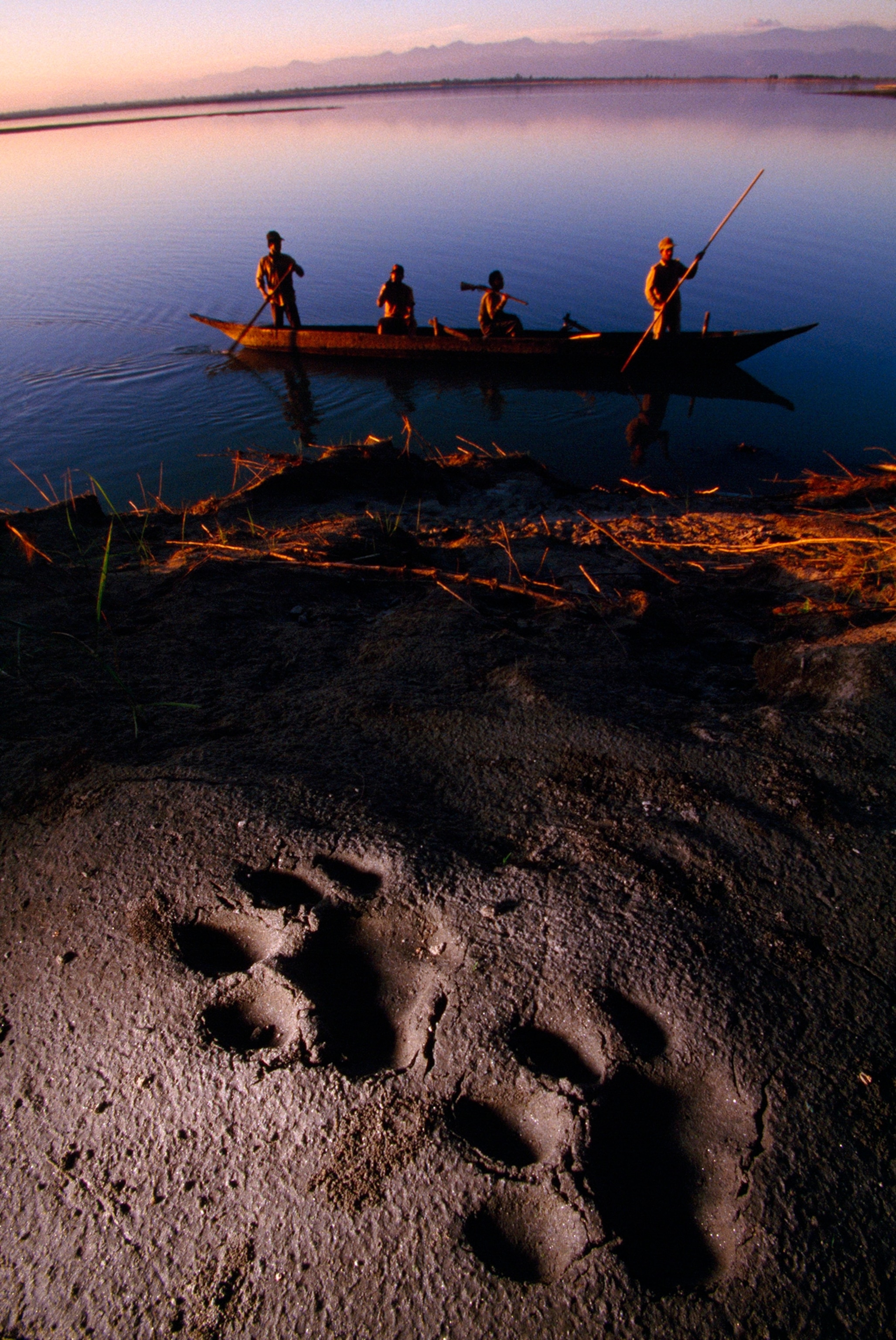 A patrol poles past tiger tracks in search of rhino poachers.