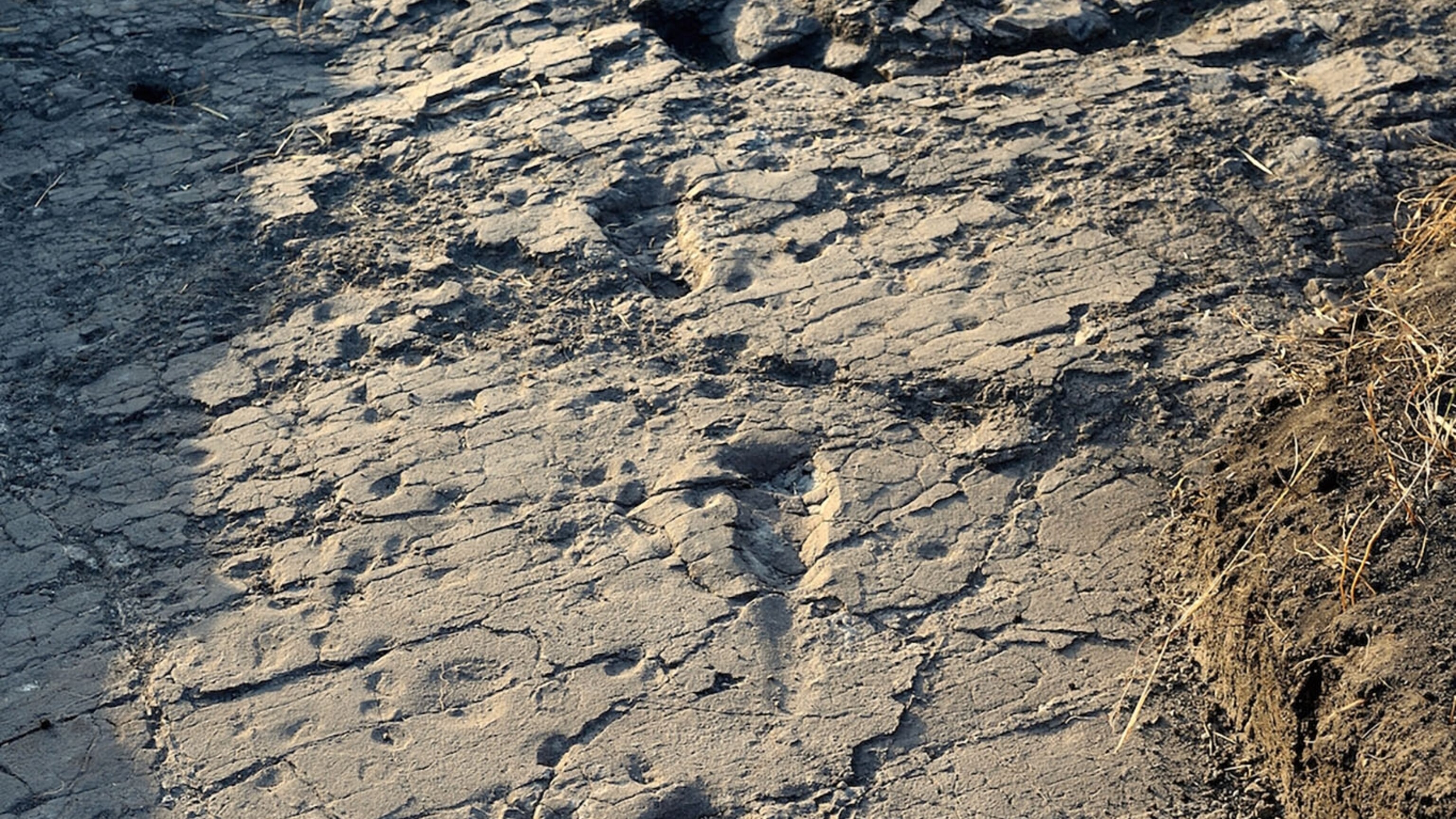 Newfound Footprints Stir Debate Over