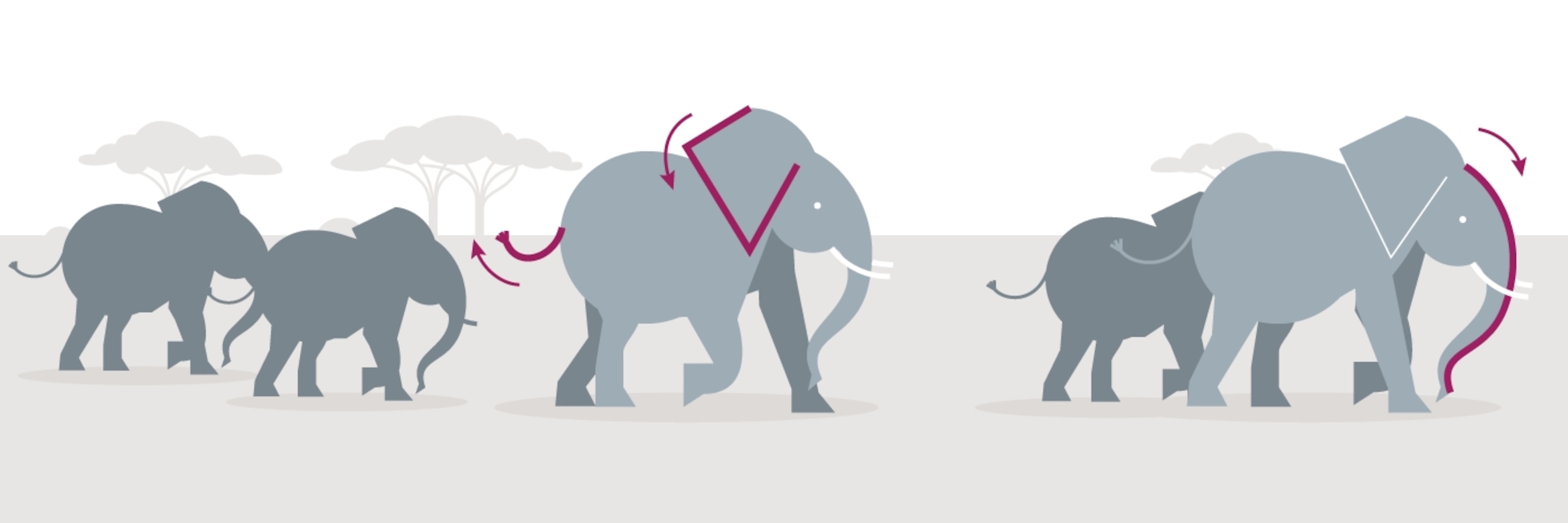 What Elephant Calls Mean: A User’s Guide | National Geographic