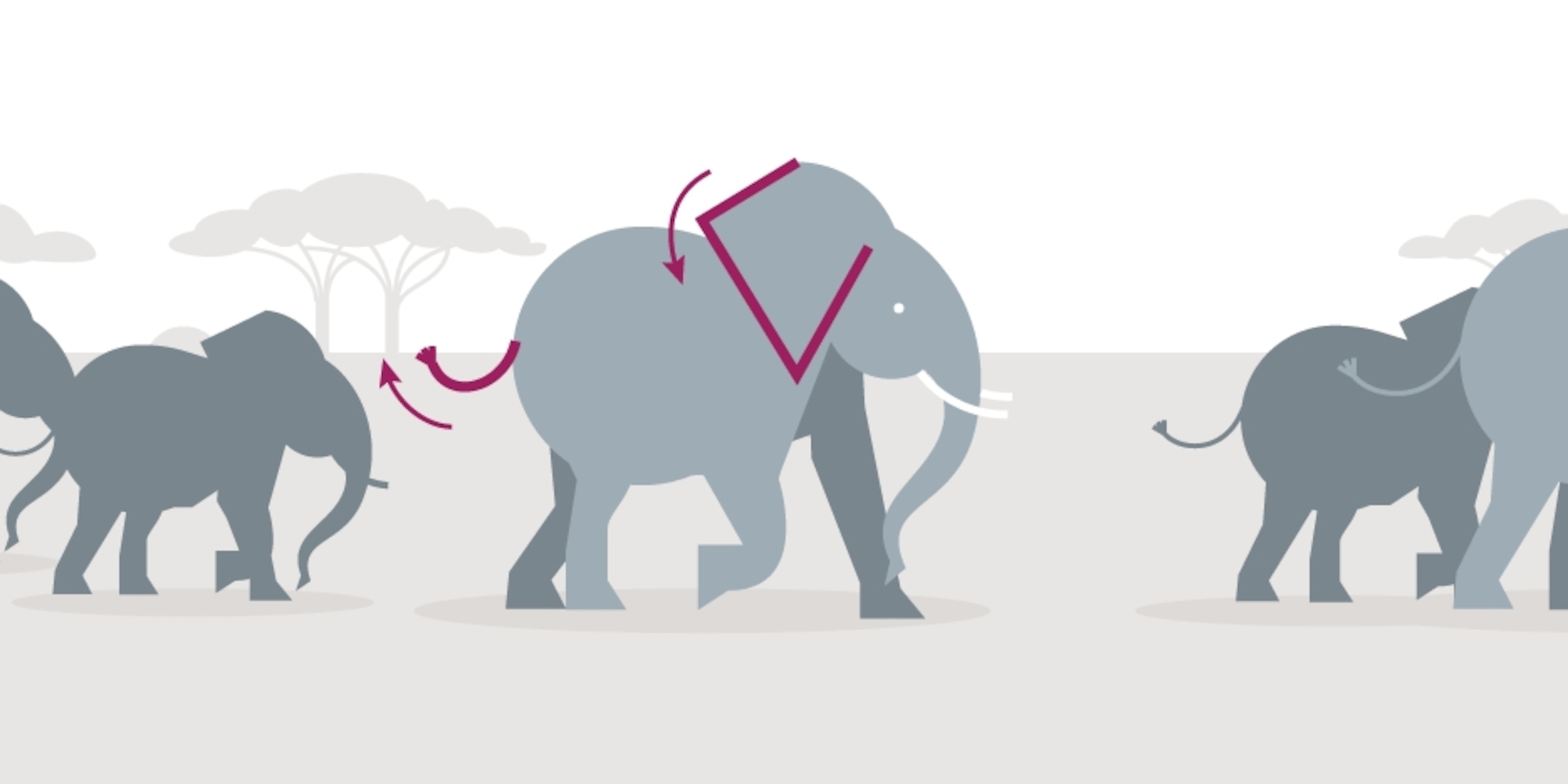What Elephant Calls Mean: A User’s Guide