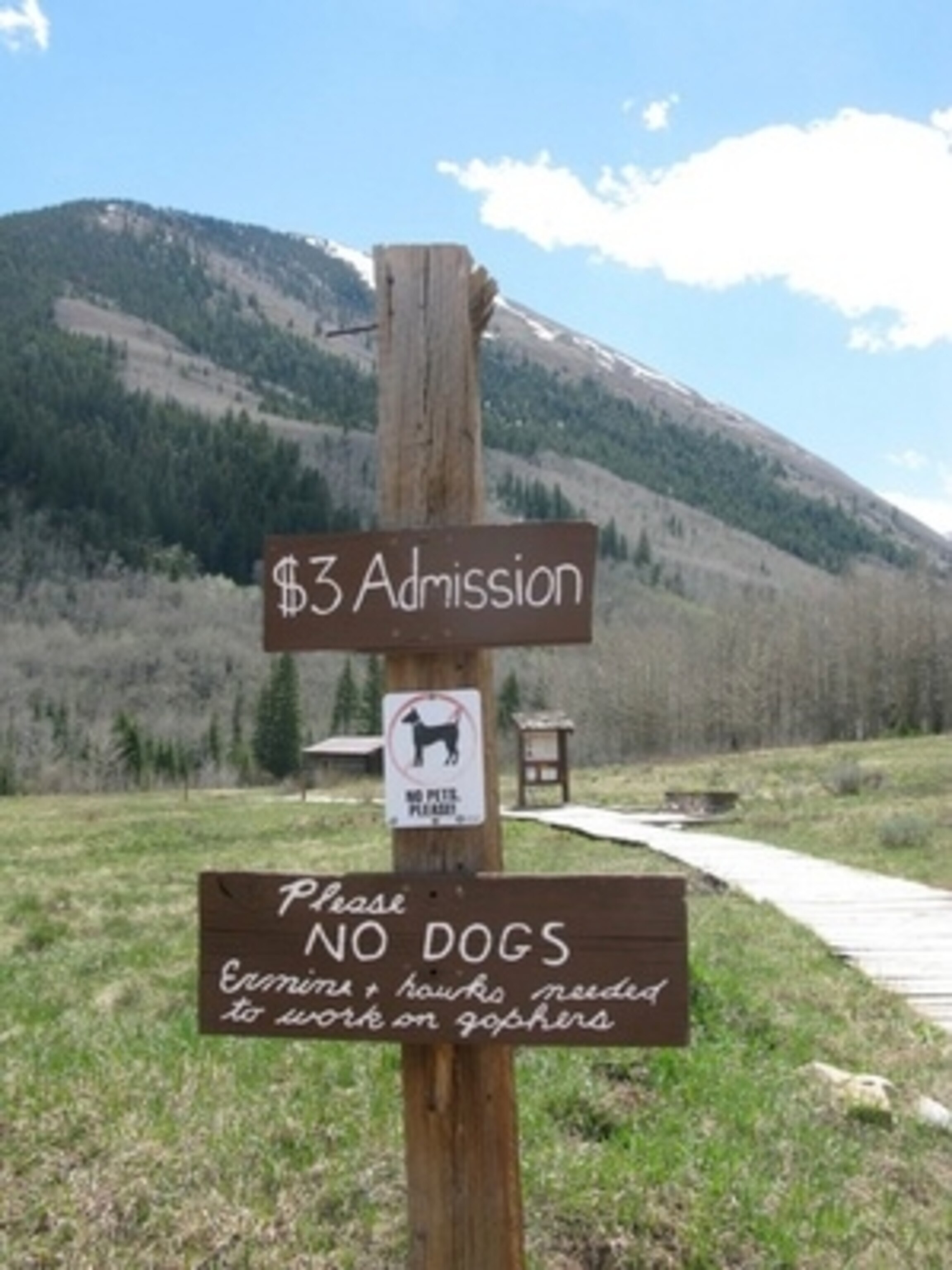 coloradodogsign.jpg