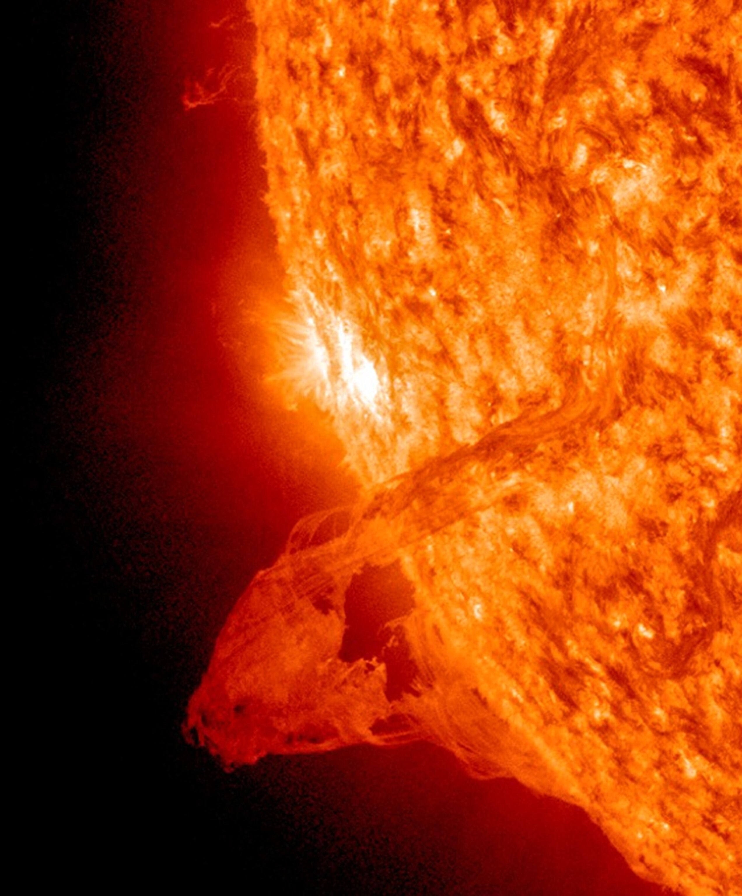 Picture of a solar filament taken by a NASA satellite.