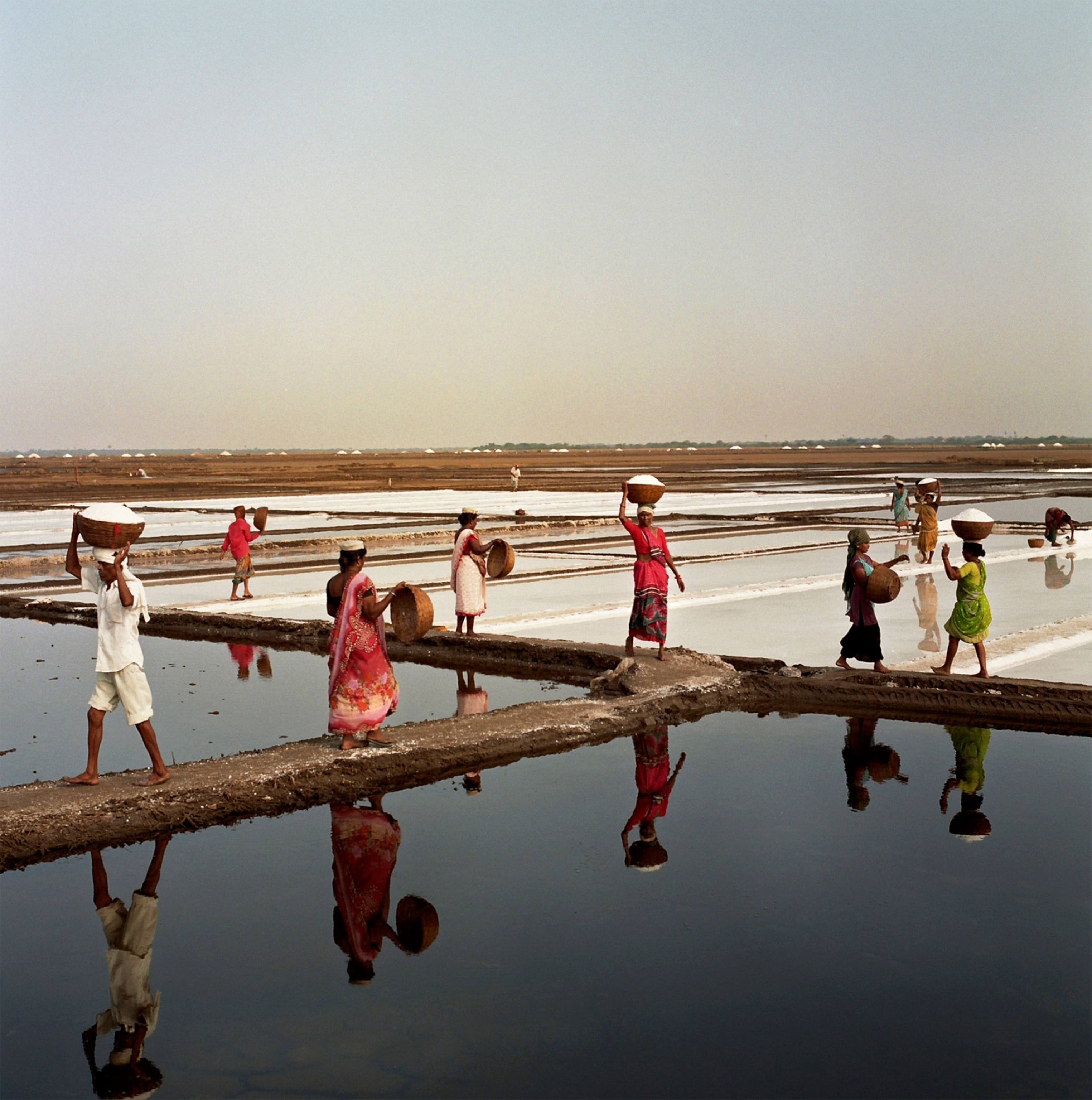 people harvesting salt in India
