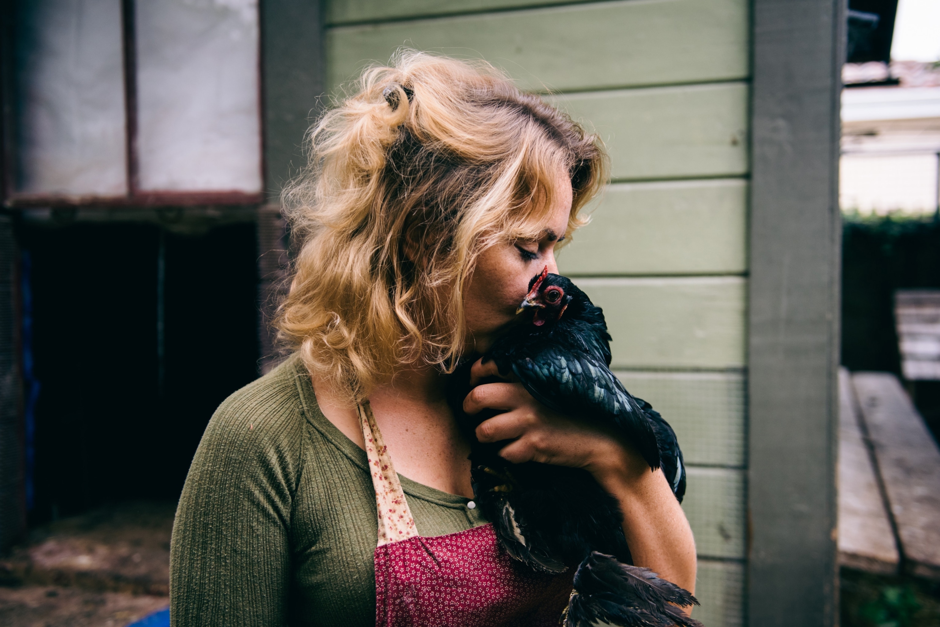 The Dervaes family lives in a house they call the Urban Homestead in the center of Pasadena. They eat their own vegetables, and whatever they can't grow on their own, they buy with money made from selling their backyard produce.