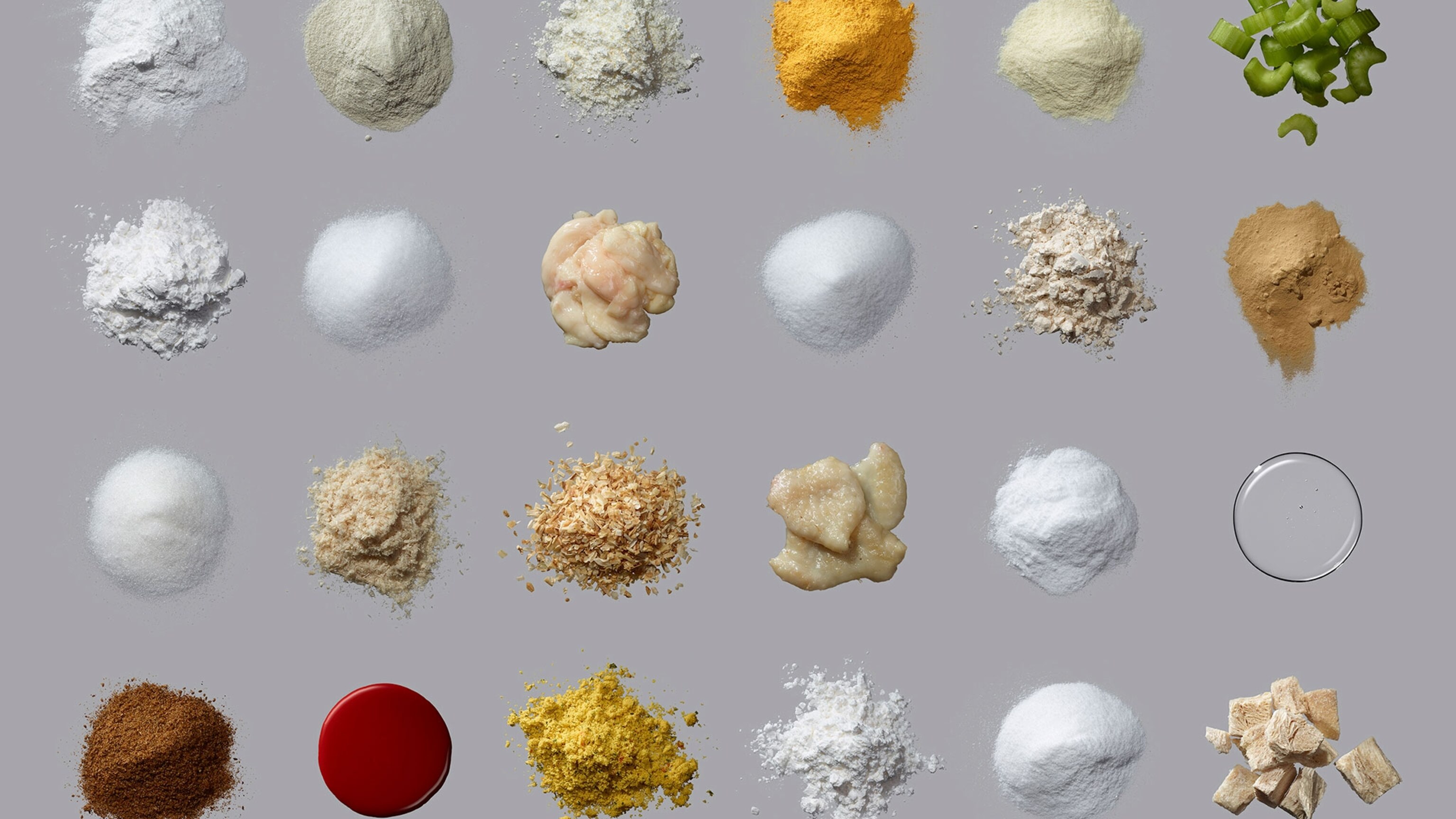Ingredients 食品添加物ビジュアル図鑑 英語版 INGREDIENTS_FOOD_02_sq_Campbel