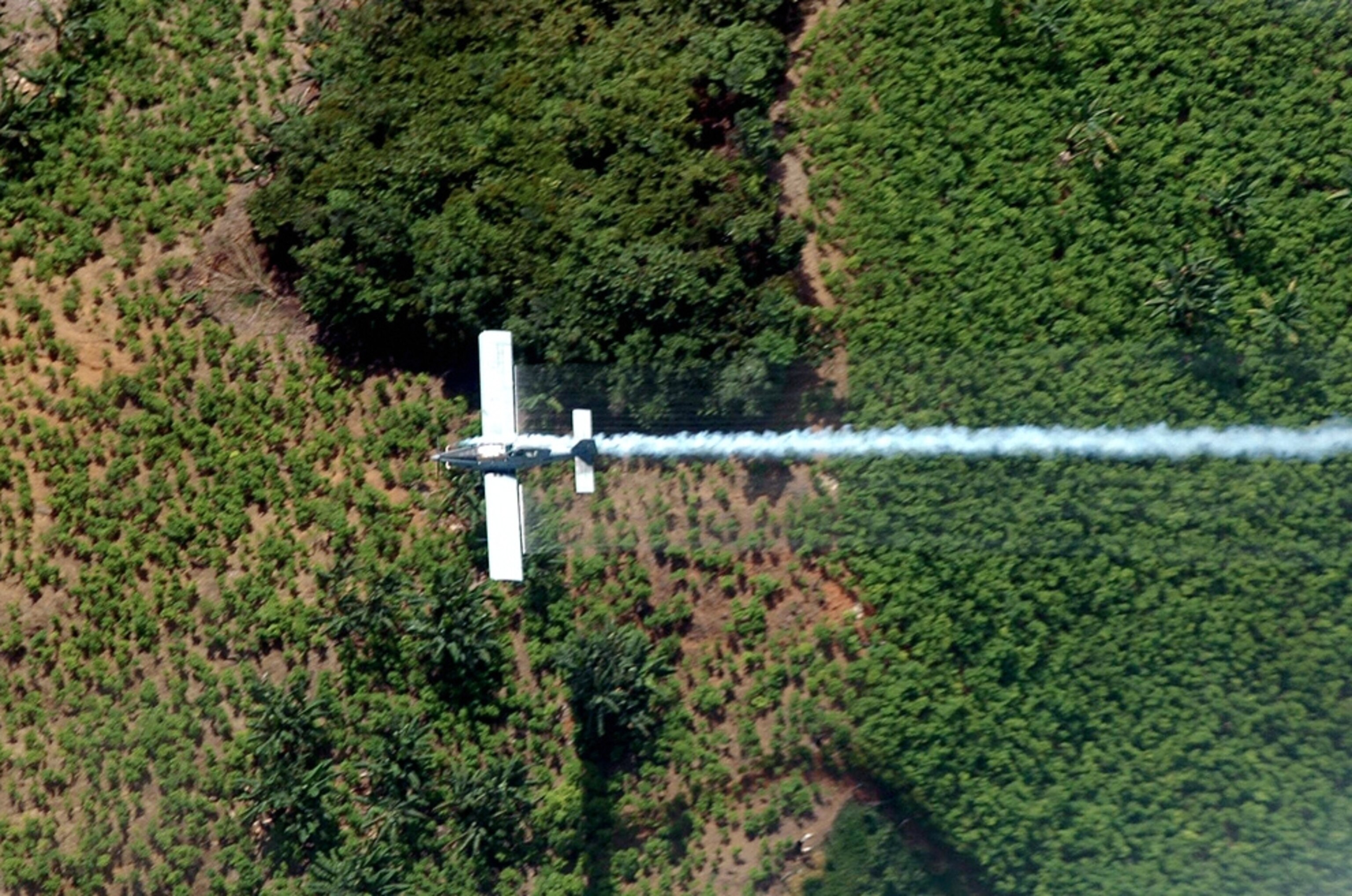 An airplane sprays coca plants in El Catatumbo, Norte de Santander department, Colombia, near the border with Venezuela on June 4, 2008.