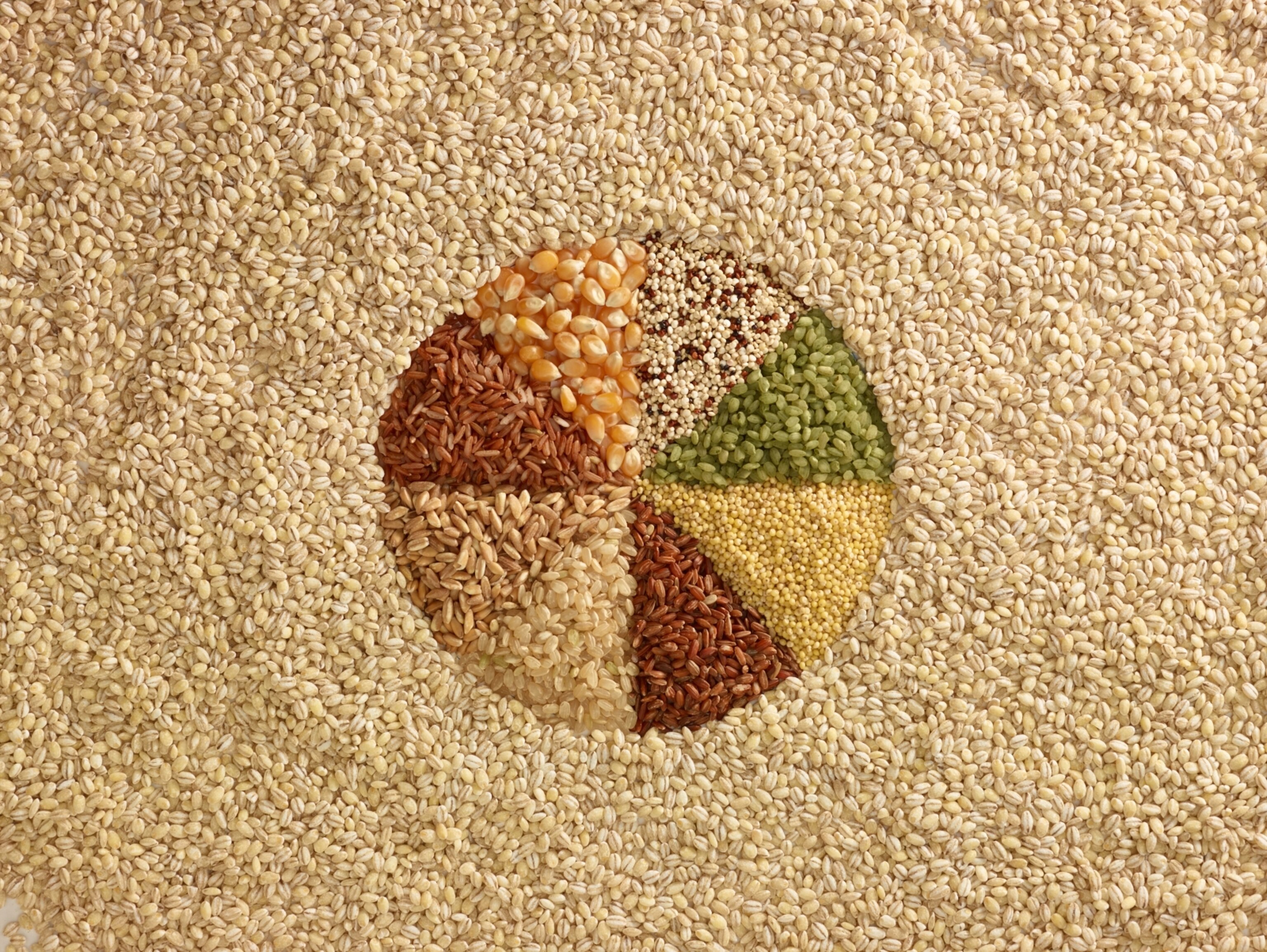 A circle made of different grains, including corn, quinoa, and rice, sits in a larger bed of plain grains