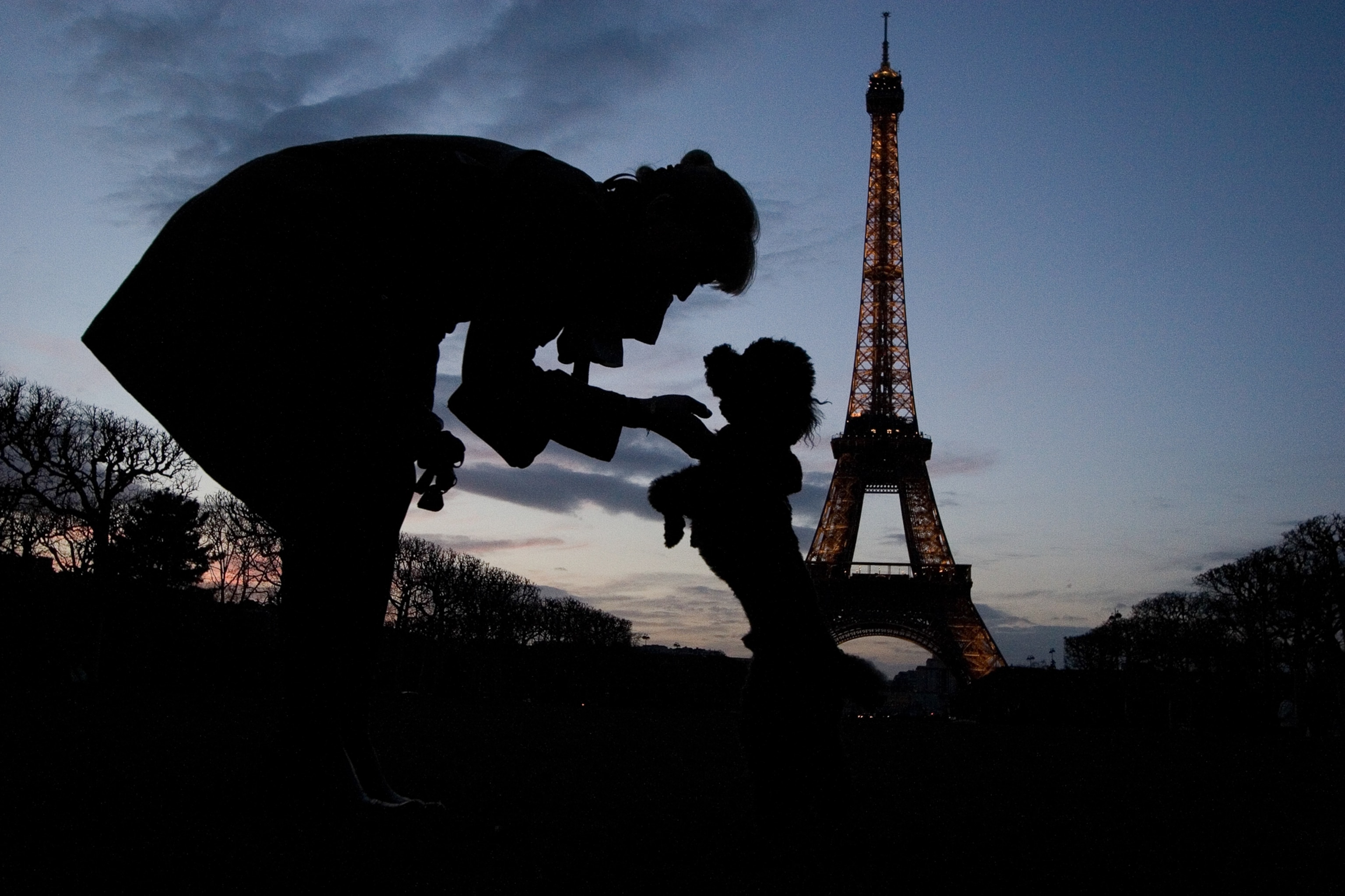 Picture of a woman and small dog silhouetted against the sunset with the Eiffel Tower in the background