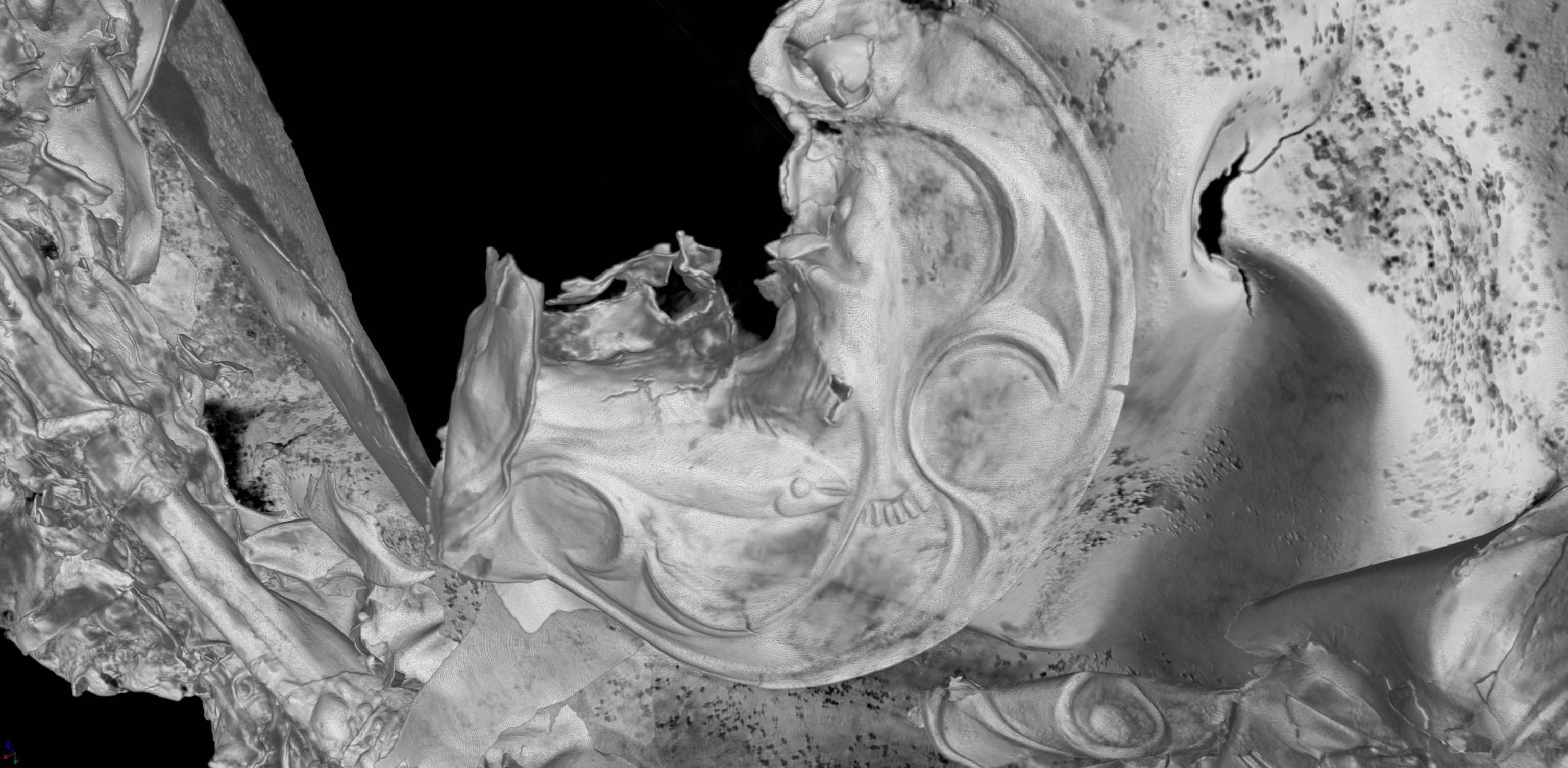 CT scan image of the damaged base of the large Melsonby cauldron showing rare depictions of fish within swirling La Tène style decoration