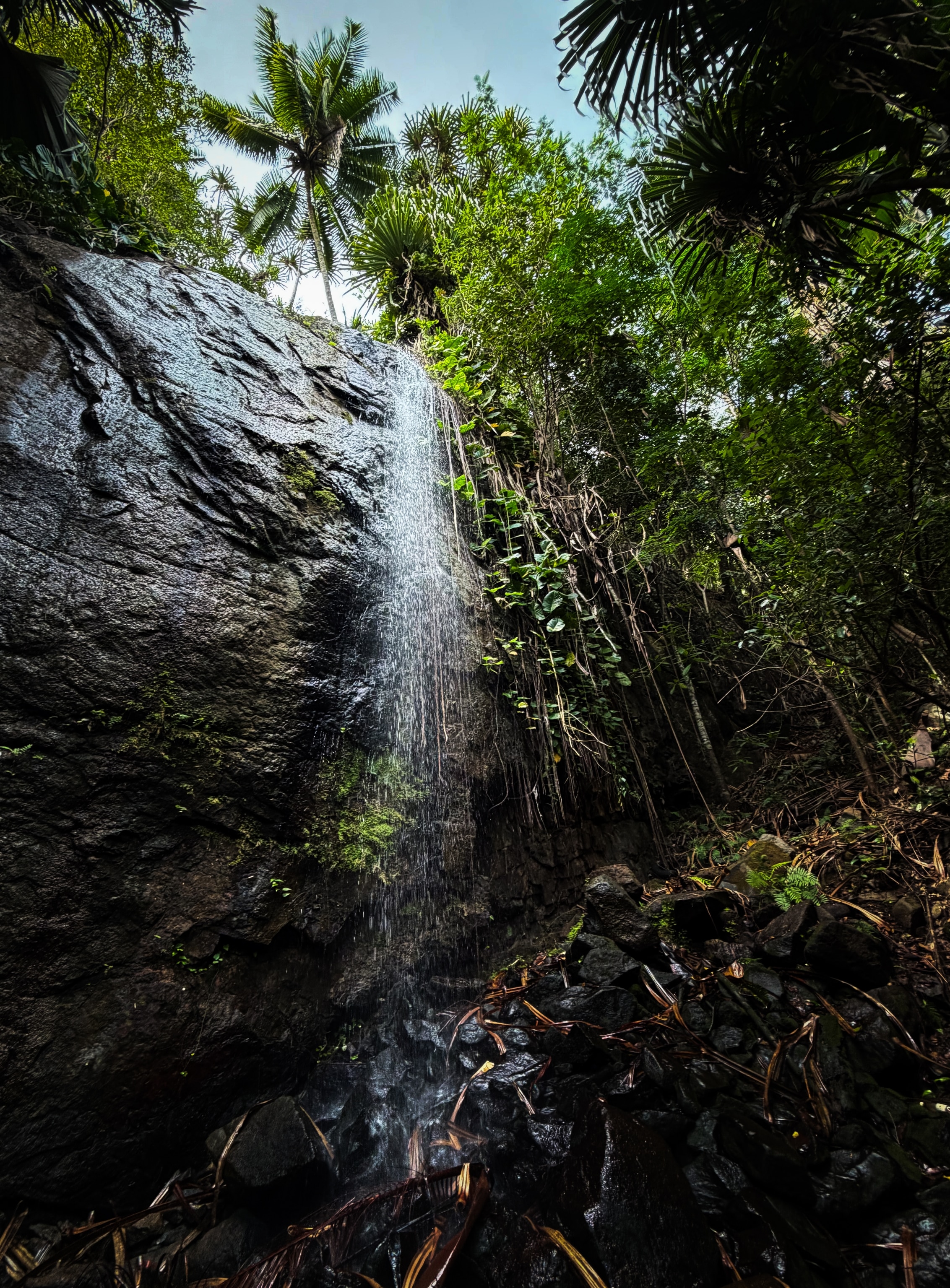 Praslin National Park Waterfall