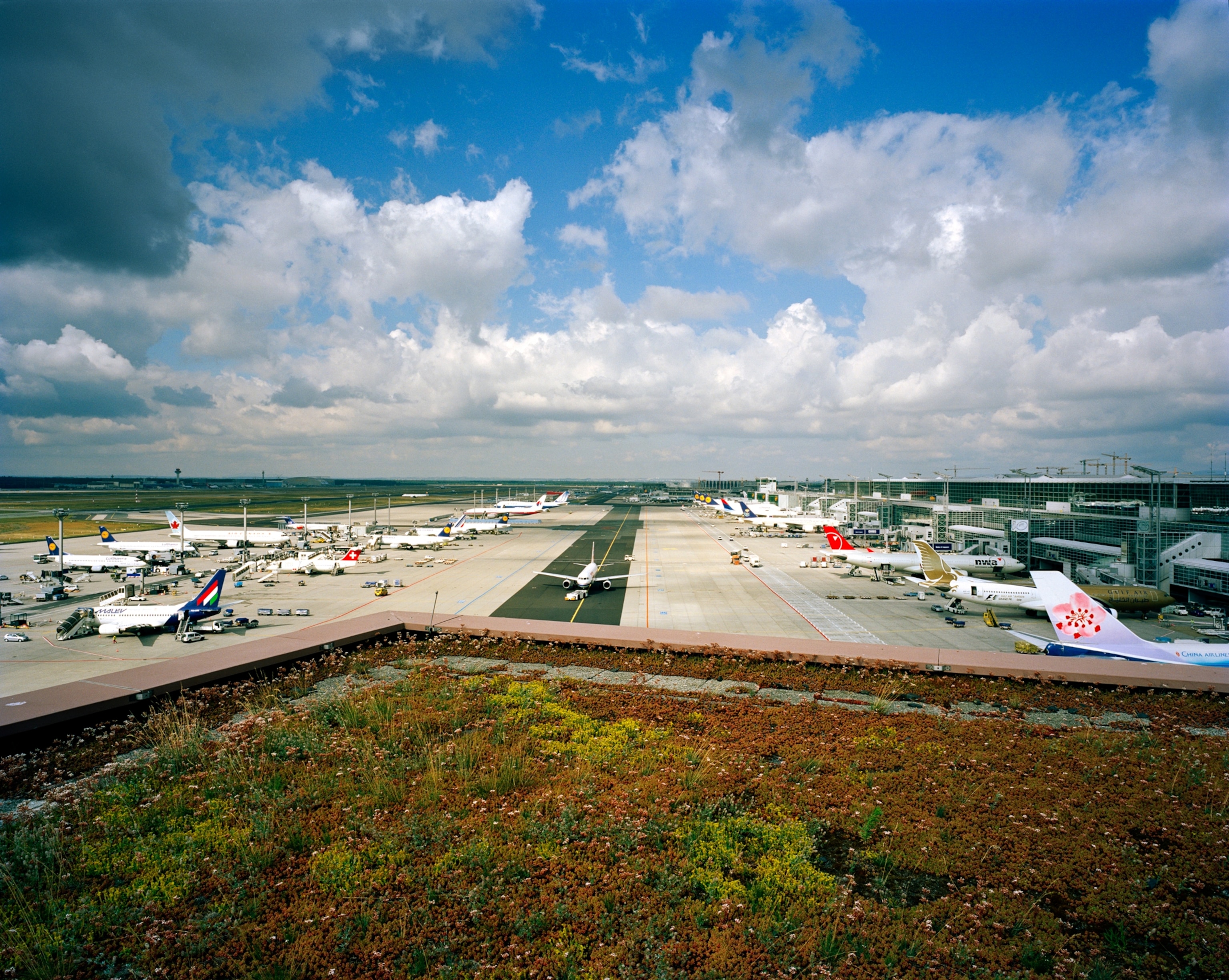 one of twenty green roofs at Frankfurt International Airport