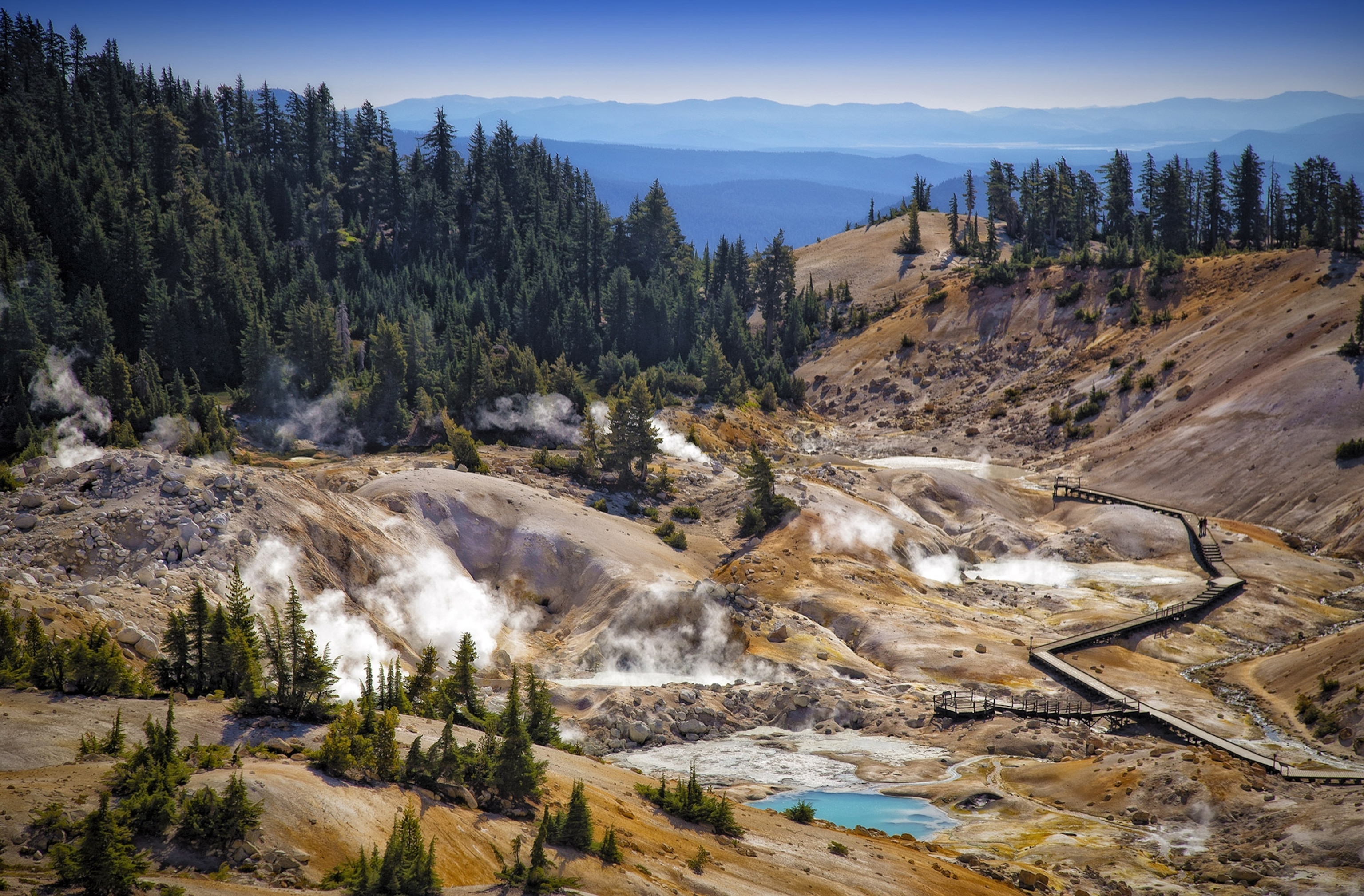 A wide view of a tree-lined clearing with active thermal vents and a hiking boardwalk