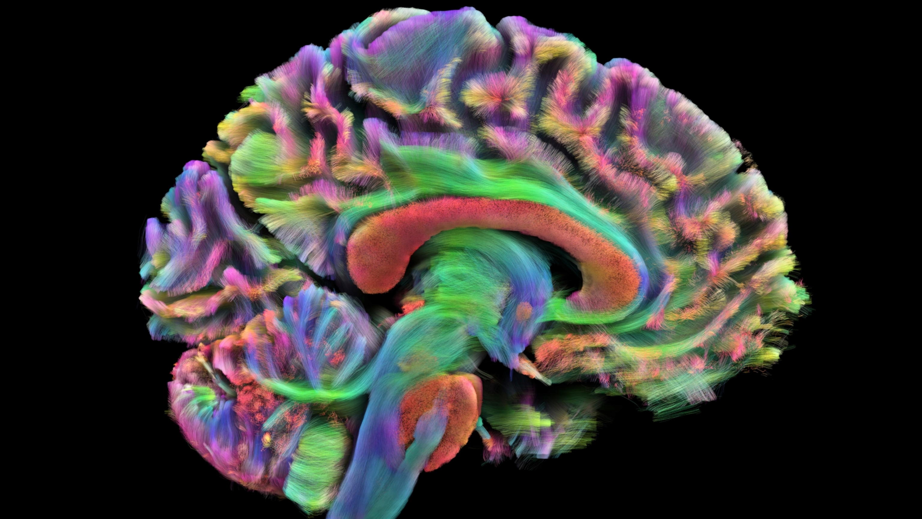 Scientists identify 4 key turning points for your brain as you age