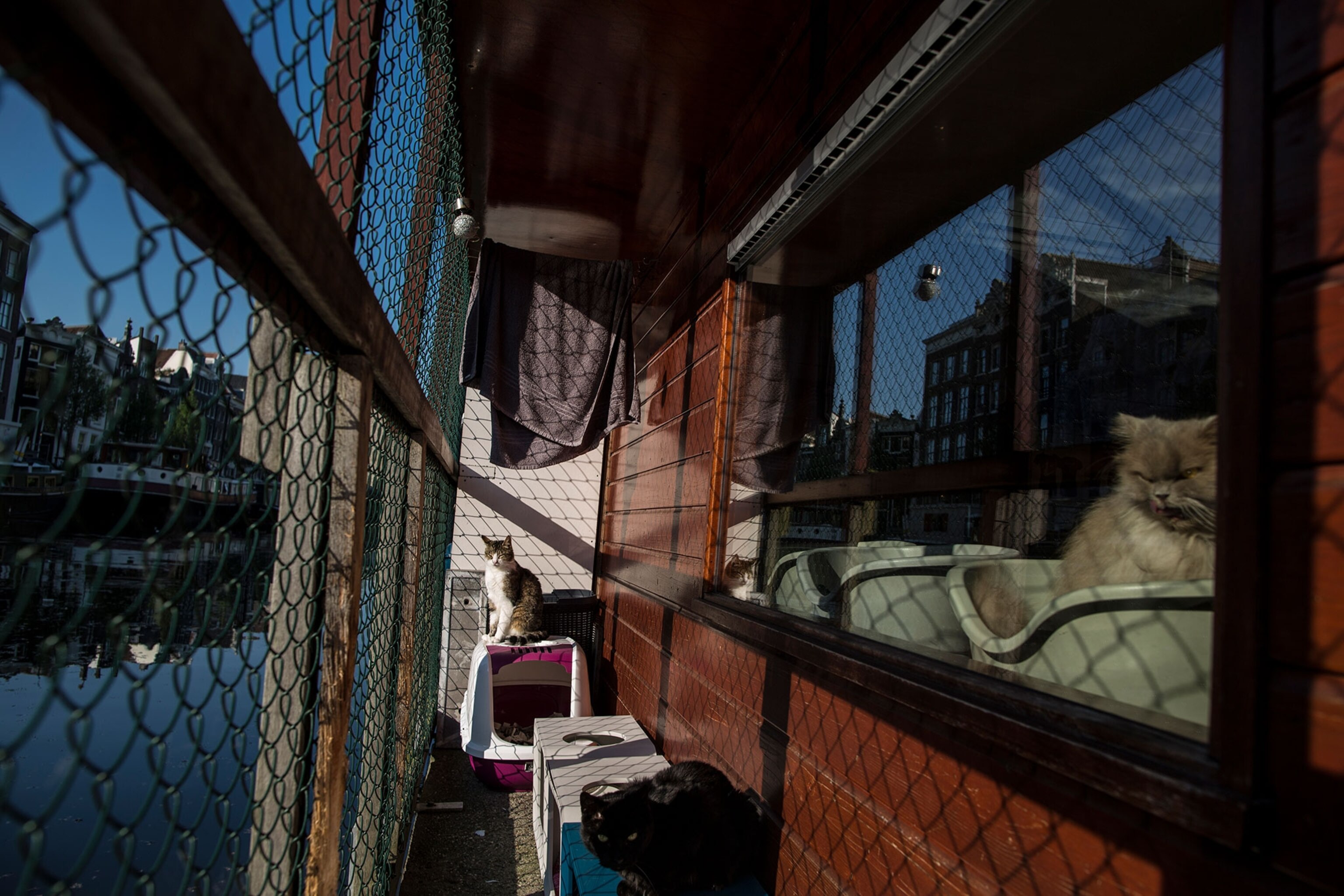 See Pictures of the Catboat in Amsterdam