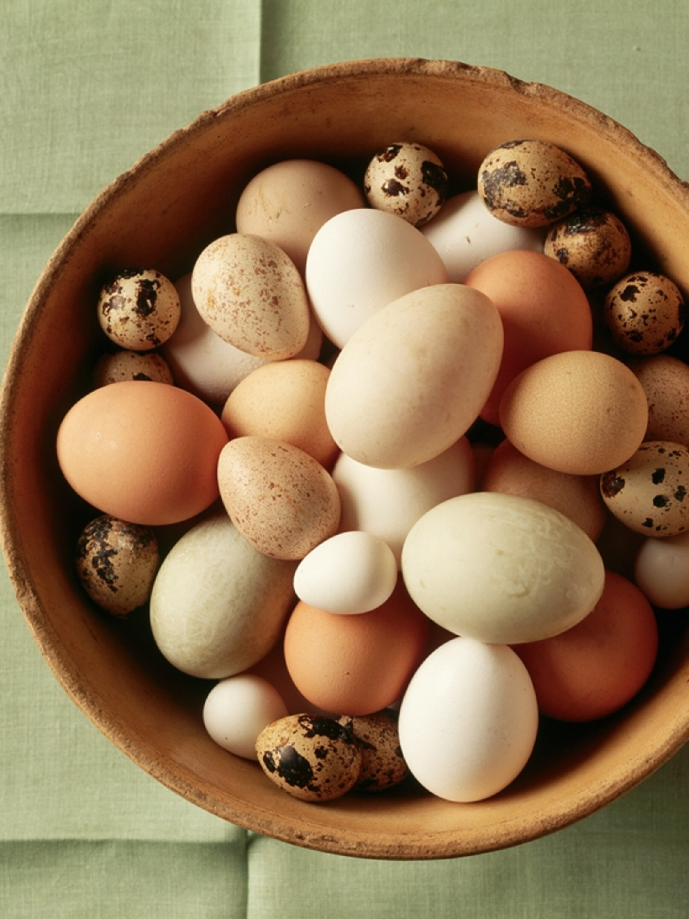 Weird Animal Question of the Week: Oddest Eggs of the Animal Kingdom Weird Animal Question of the Week: Oddest Eggs of the Animal Kingdom