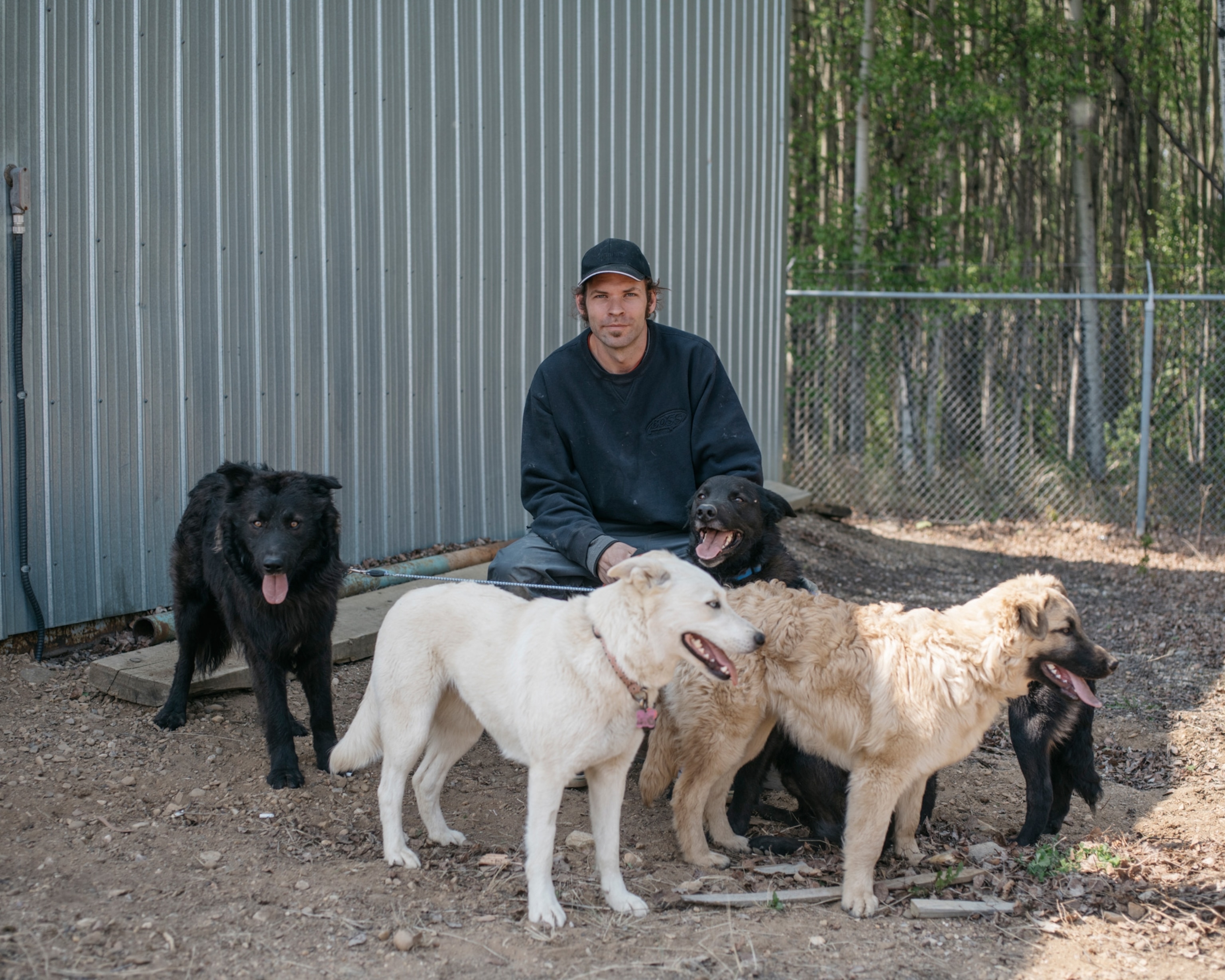 a man with four dogs