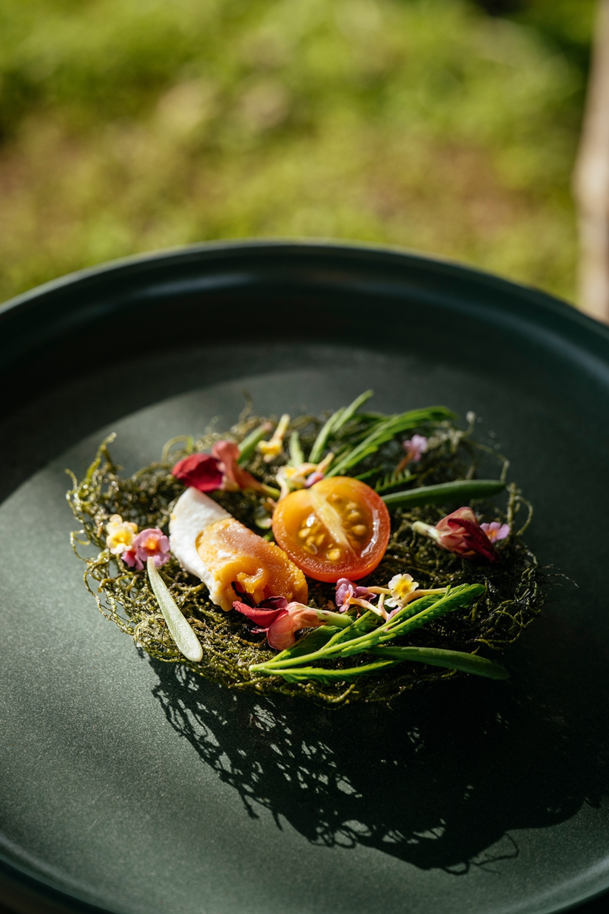 A close-up of an artfully arranged plate with moss, egg and tomato.
