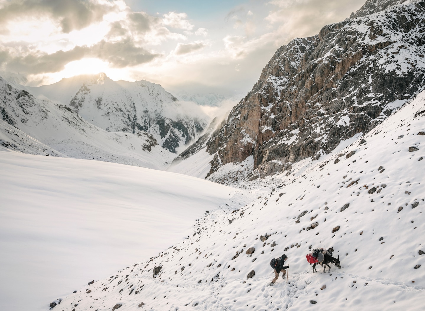 Photo of man and donkey trekking through a snow covered mountain