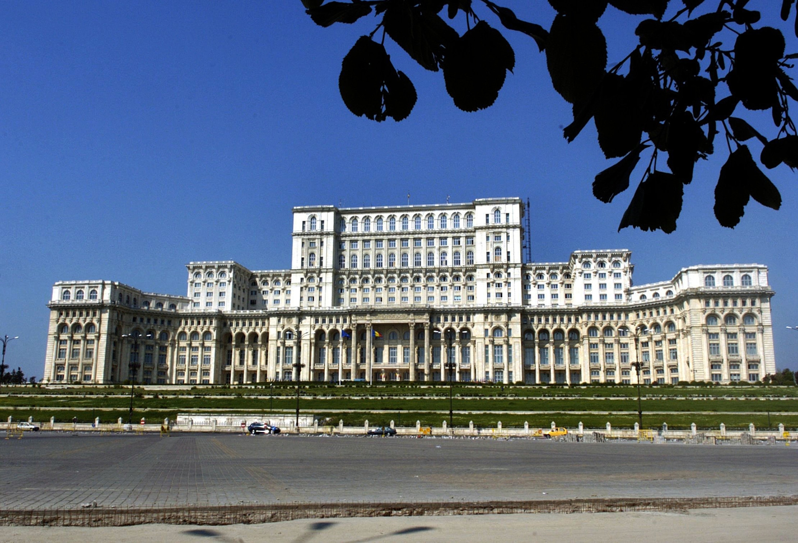 A protester wearing an EU flag stands at Ukrainian President Yanukovych's countryside residence in Mezhyhirya, Kiev's region, Ukraine, Saturday, Feb, 22, 2014. Ukrainian security and volunteers from among Independence Square protesters have joined forces to protect the presidential countryside retreat from vandalism and looting.