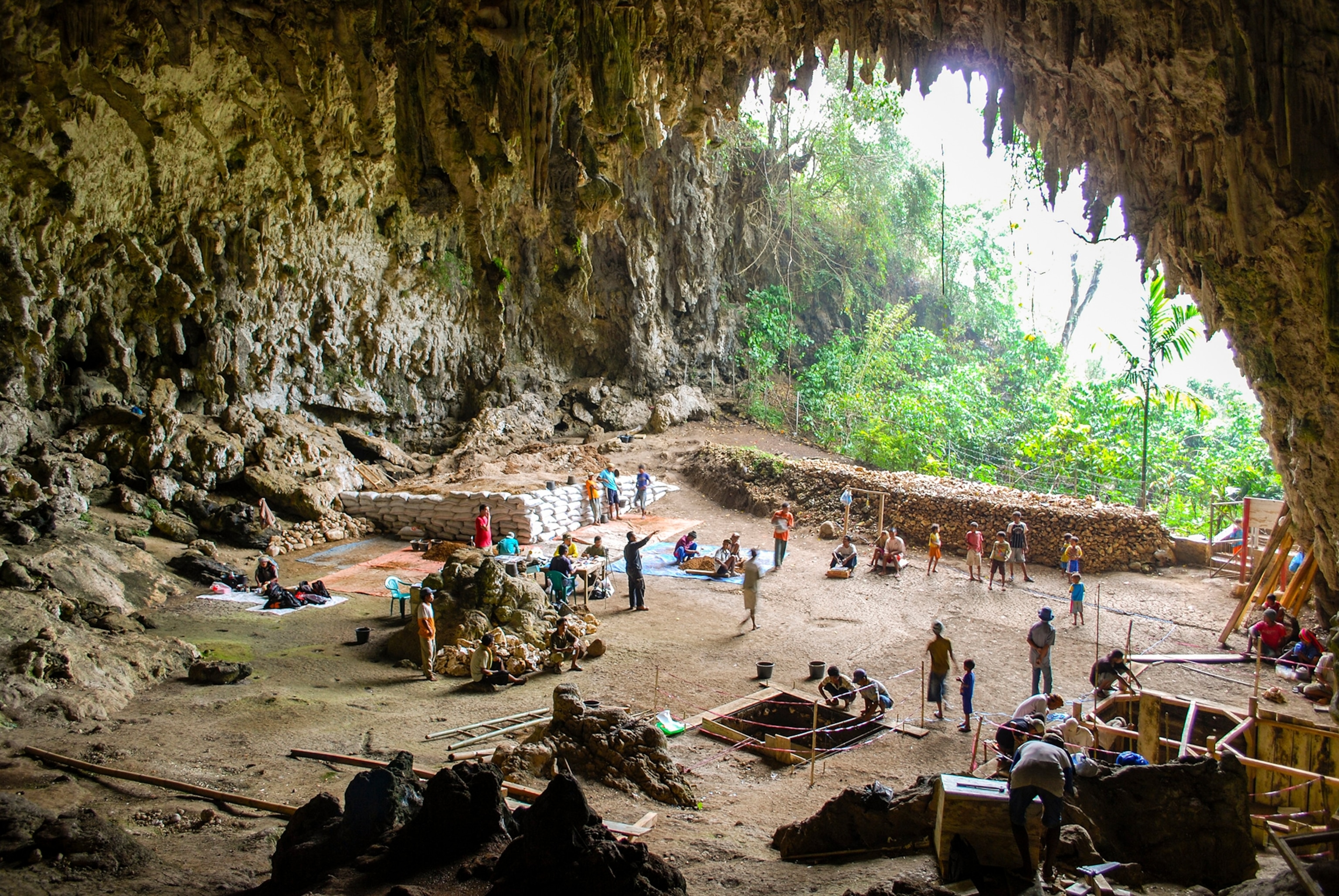 Researchers work at a site located in a large cave within a jungle