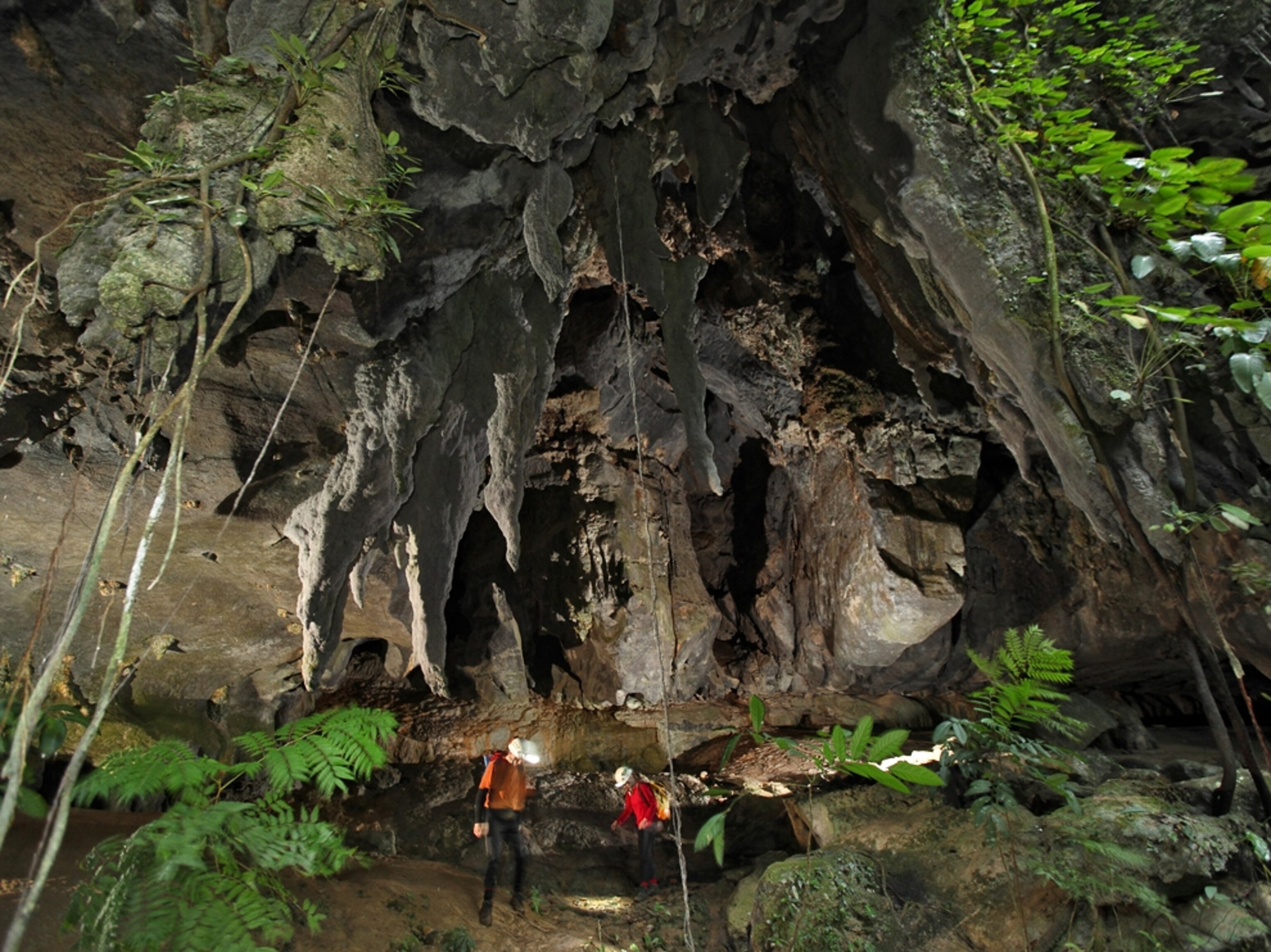 Picture of two cavers standing under jagged stalactites.