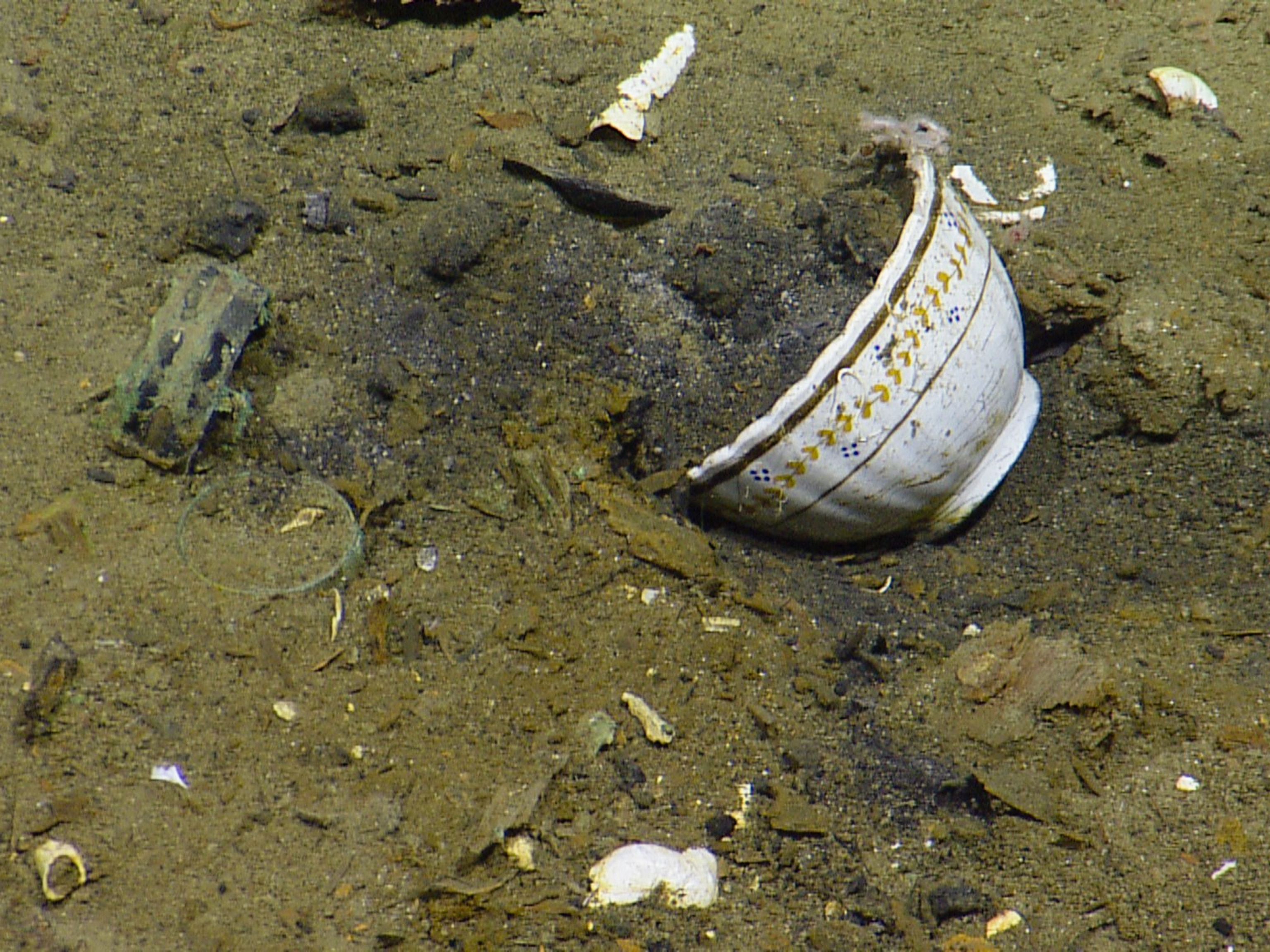a bowl resting on the seafloor in the Gulf of Mexico