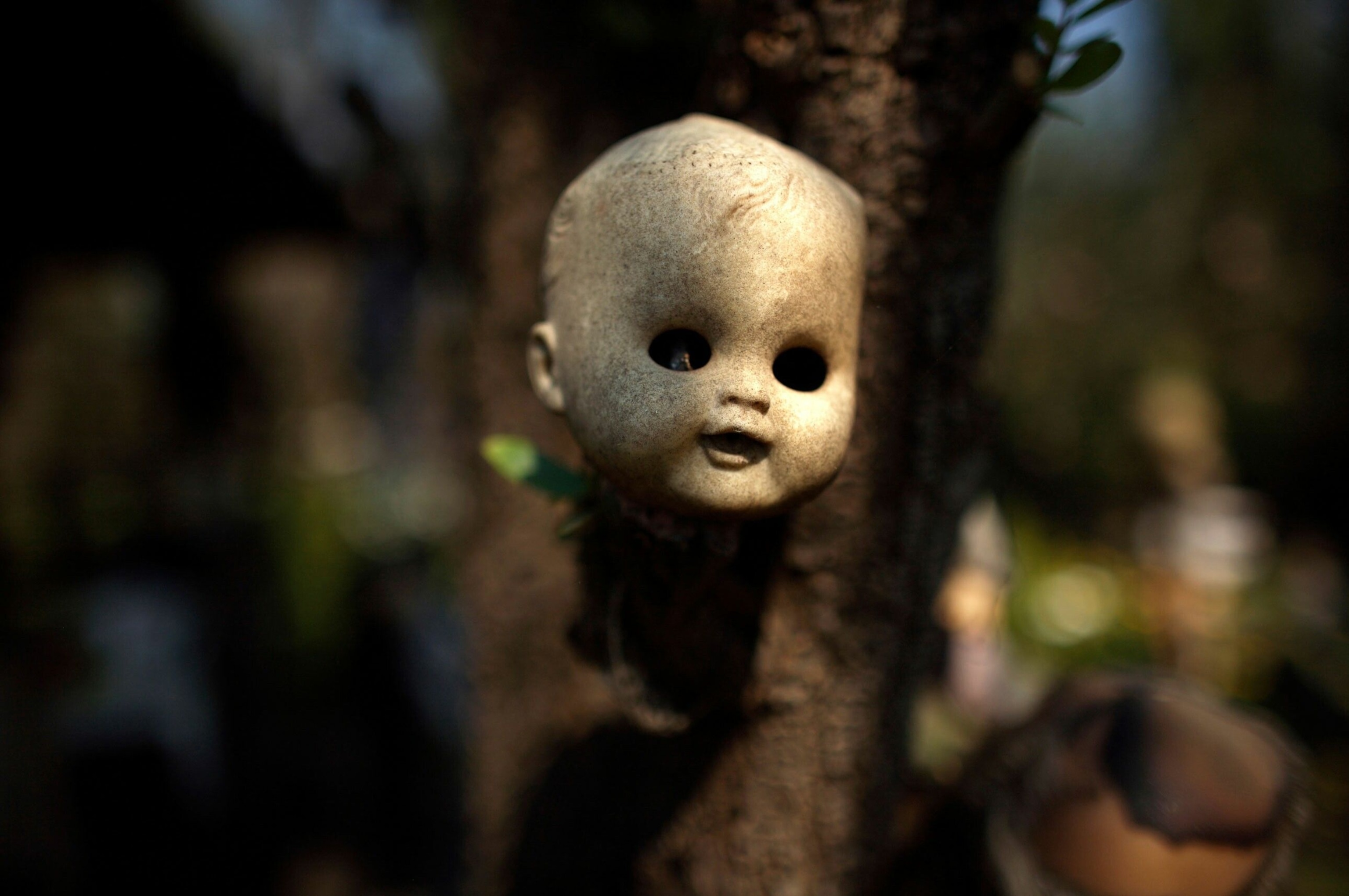 In Mexico, the Island of the Dolls is a place steeped in superstition.