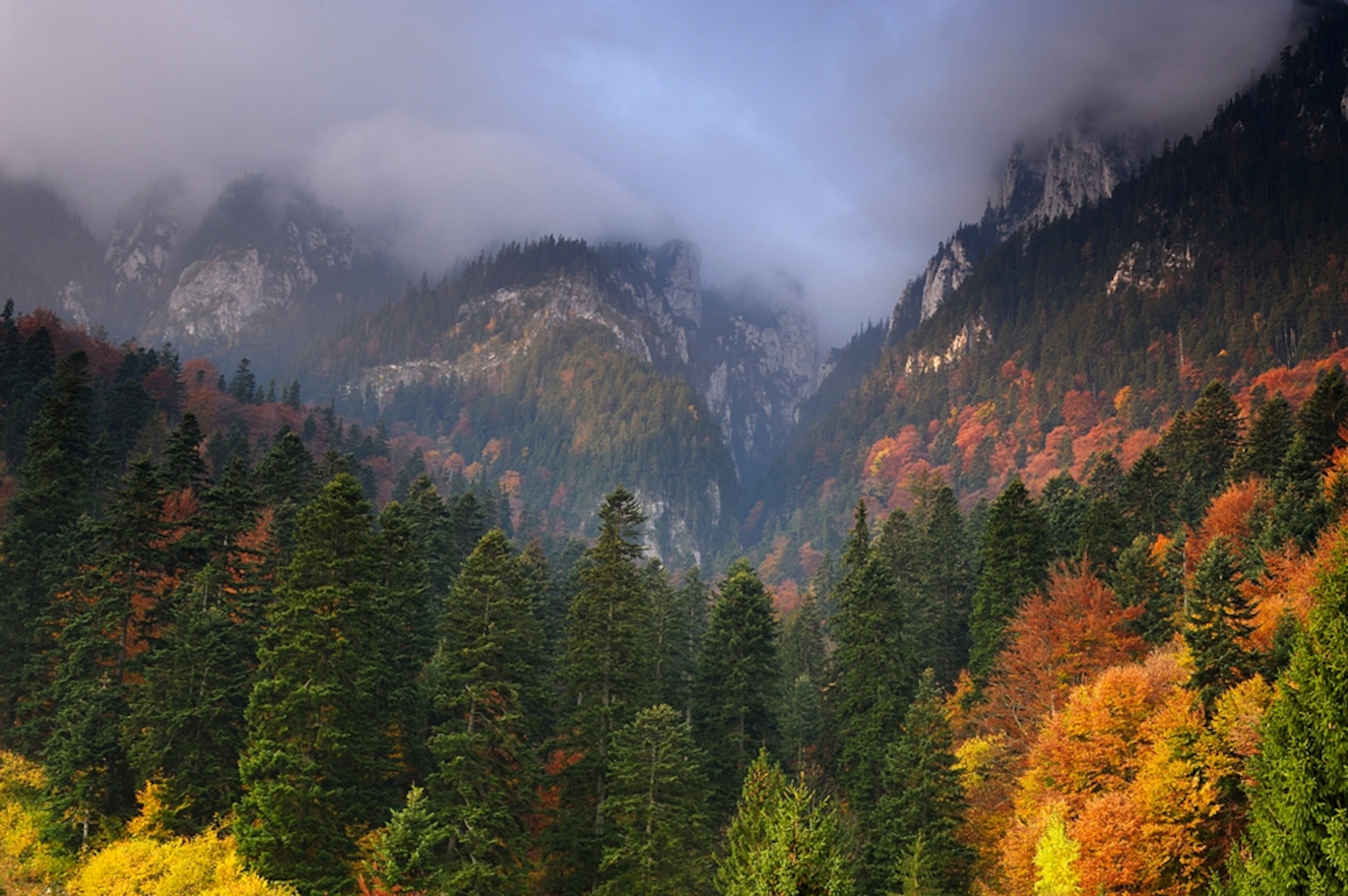 Autumn trees below a mountain