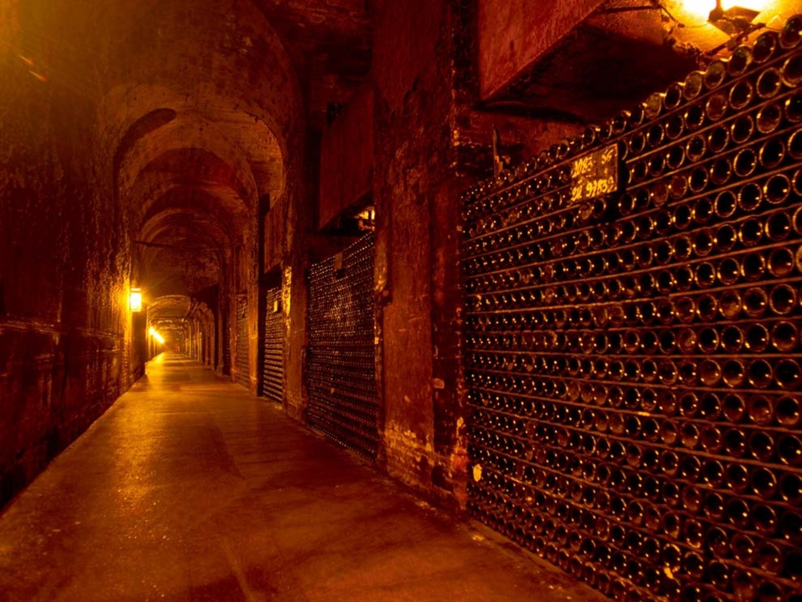 Champagne cellar