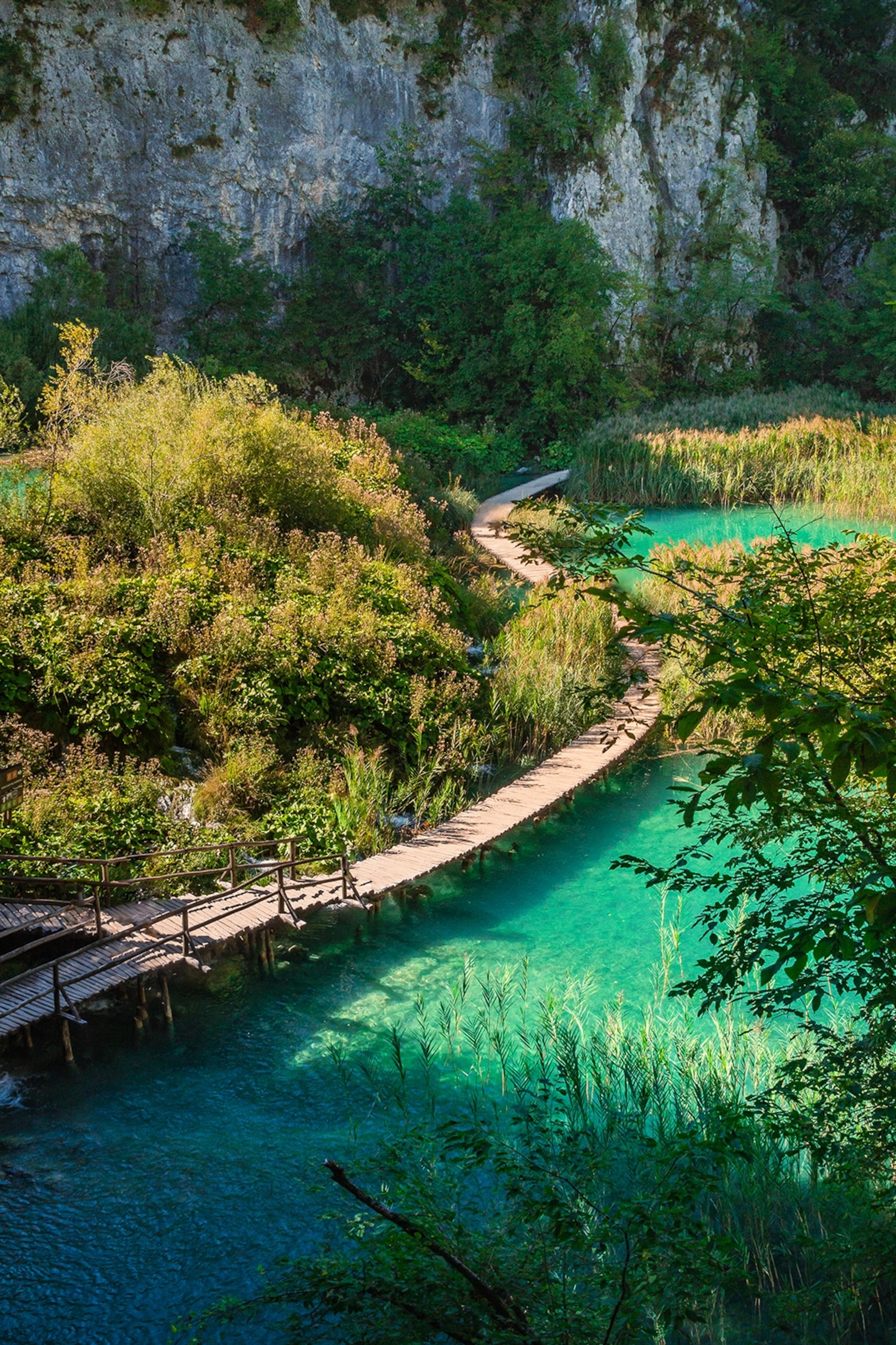 A boardwalk snaking across a lake next to a cliff with trees.