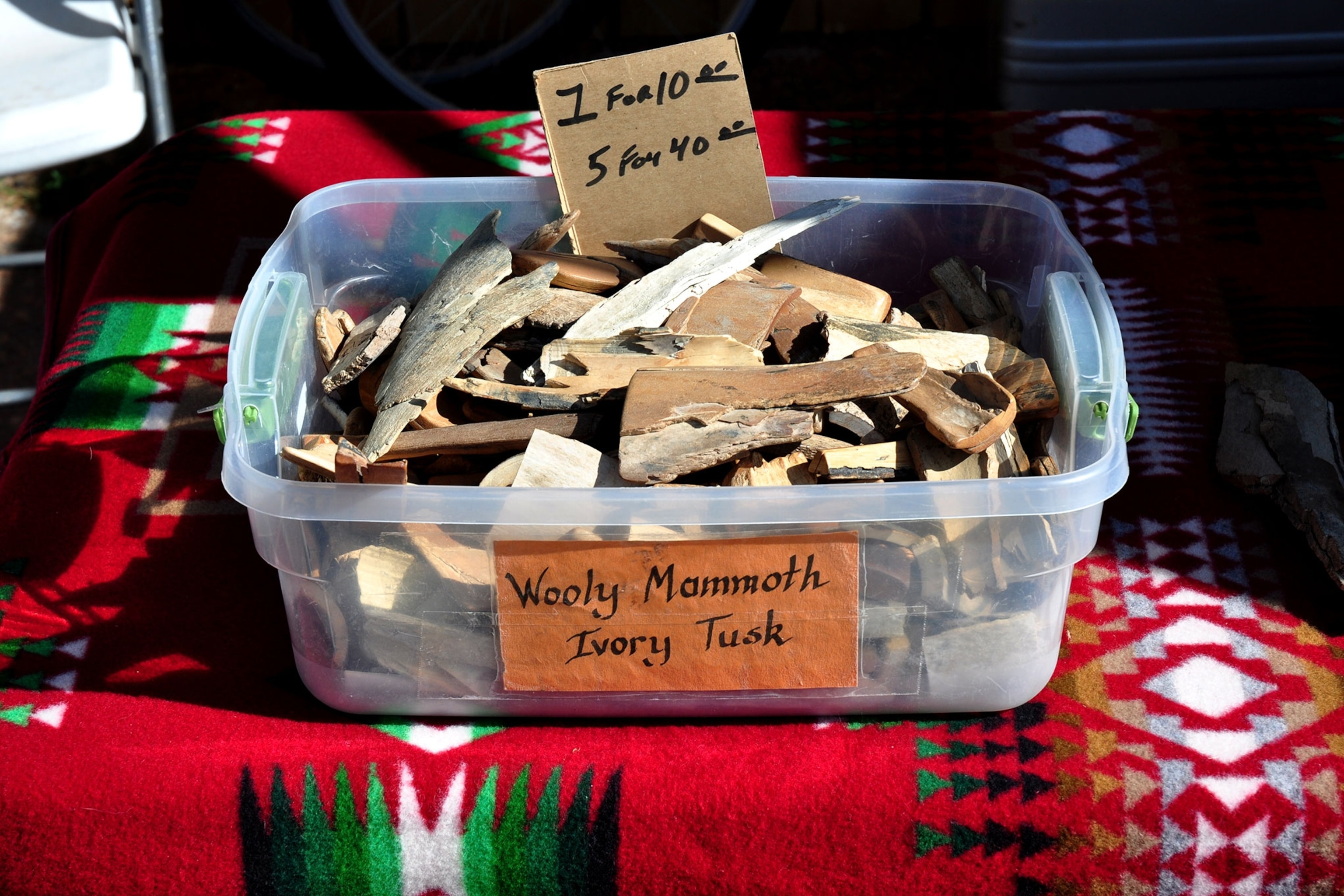 TOPIC RE SELLING WOOLLY MAMMOTH IVORY TEETH IS LEGAL IN THE US IN SELLING visual data 6