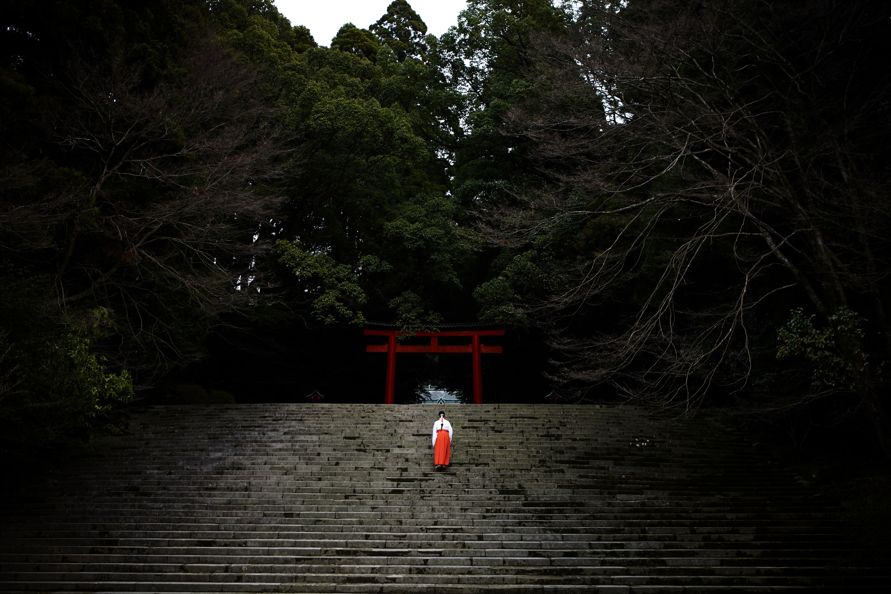 Image of steps leading up to Kirishima-jingu shrine in Kirishima-Kinkowan National Park, Japan
