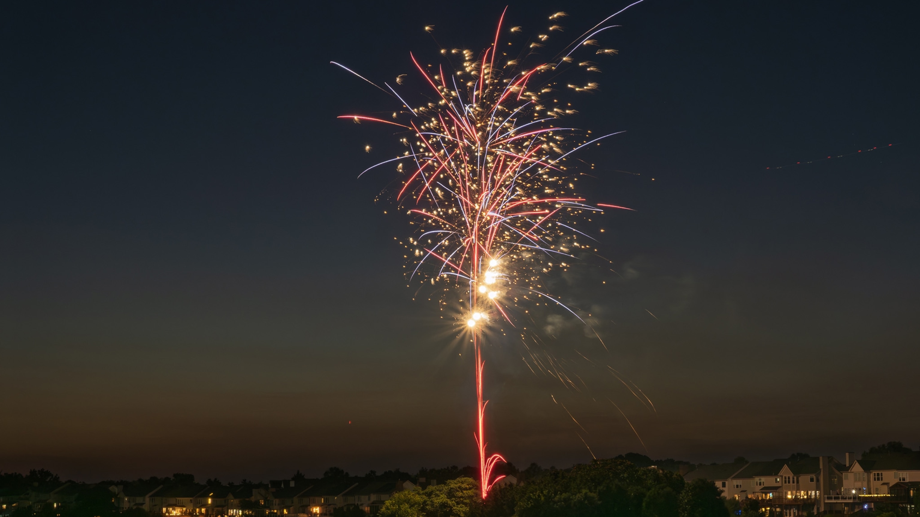 Why fireworks can be a death sentence for wildlife