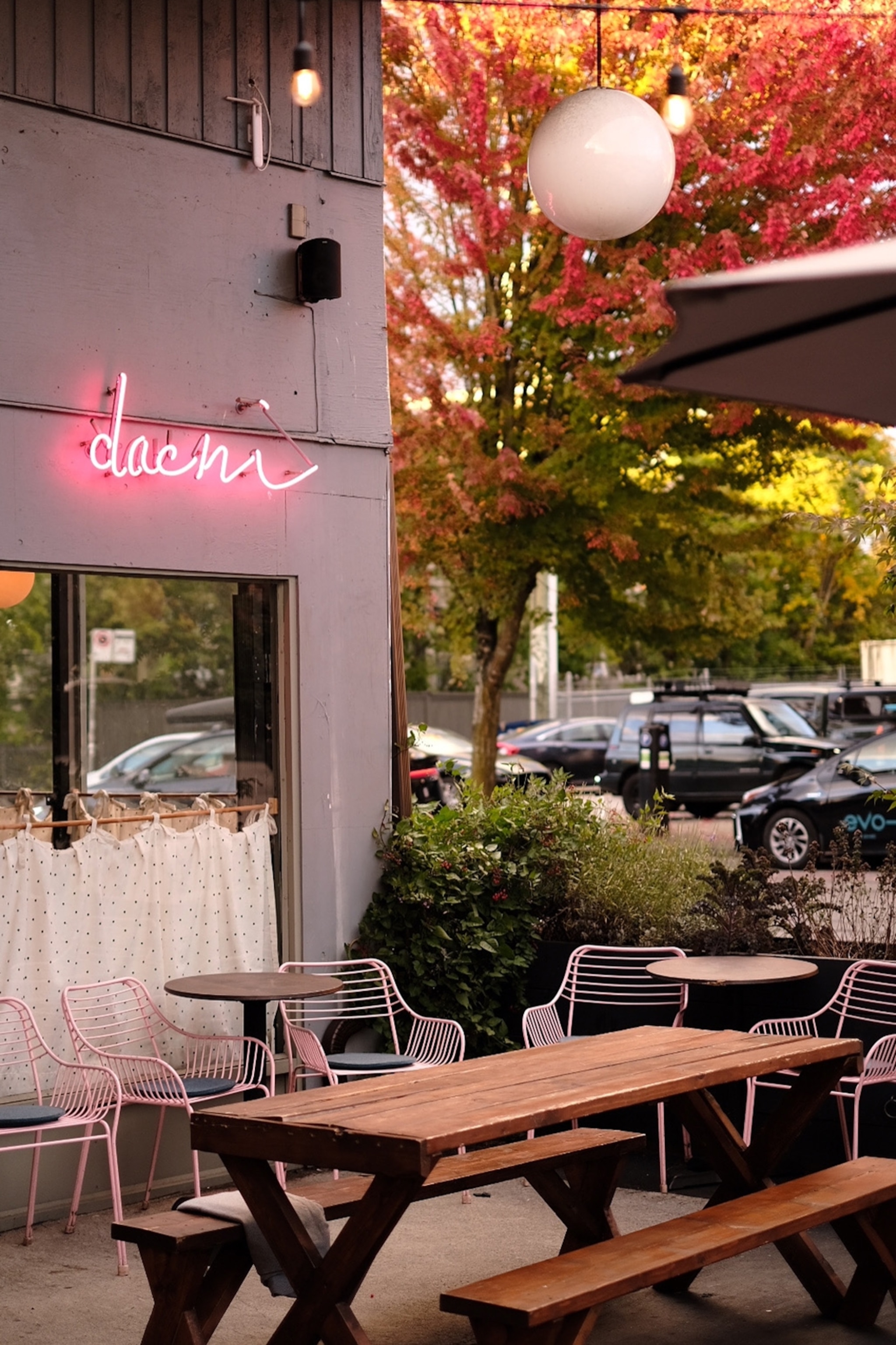 The outside patio of a restaurant with neon lettering, wooden picnic tables, cafe curtains and a maple tree in the background.