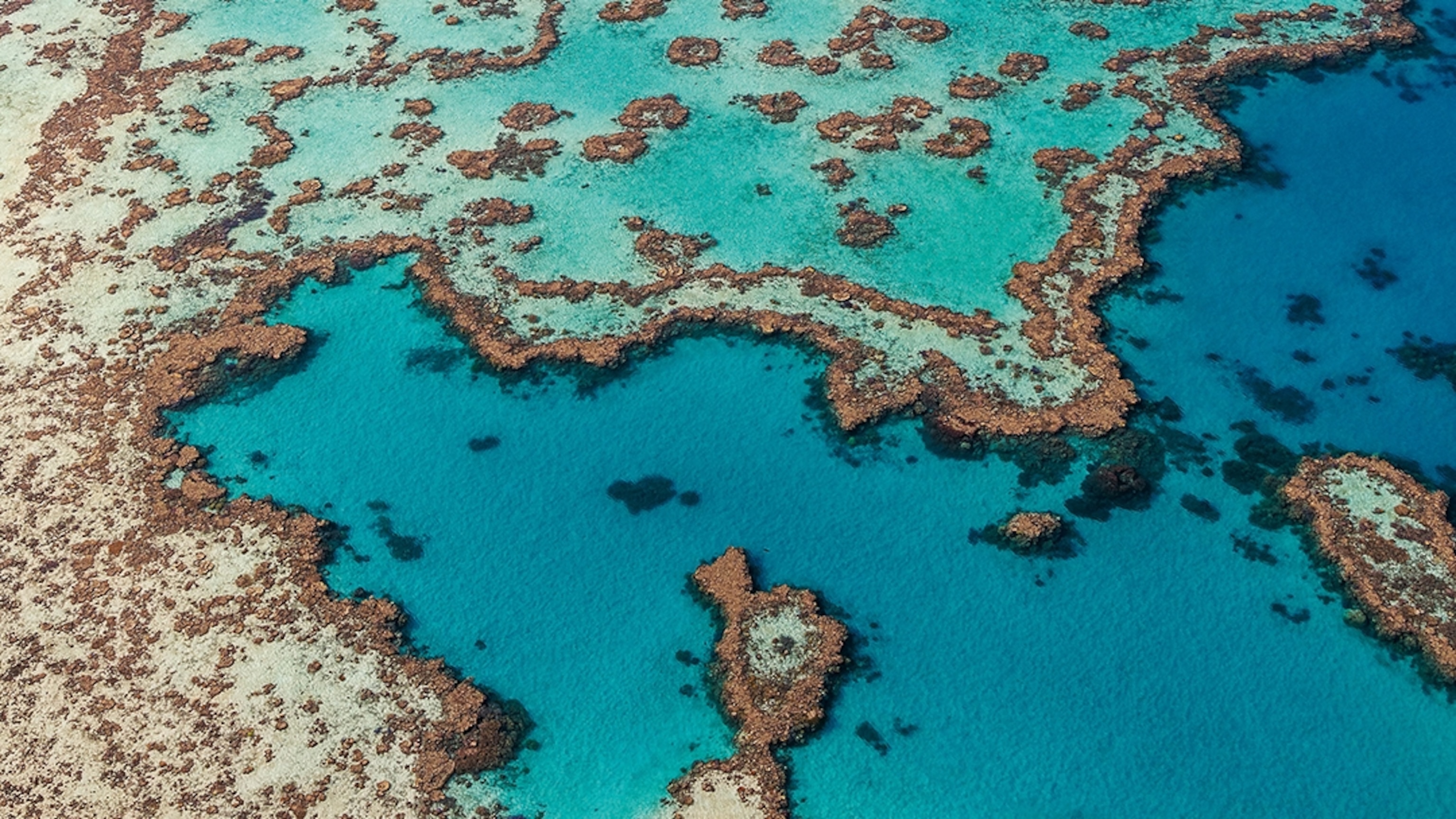 What it's like to night dive on the Great Barrier Reef