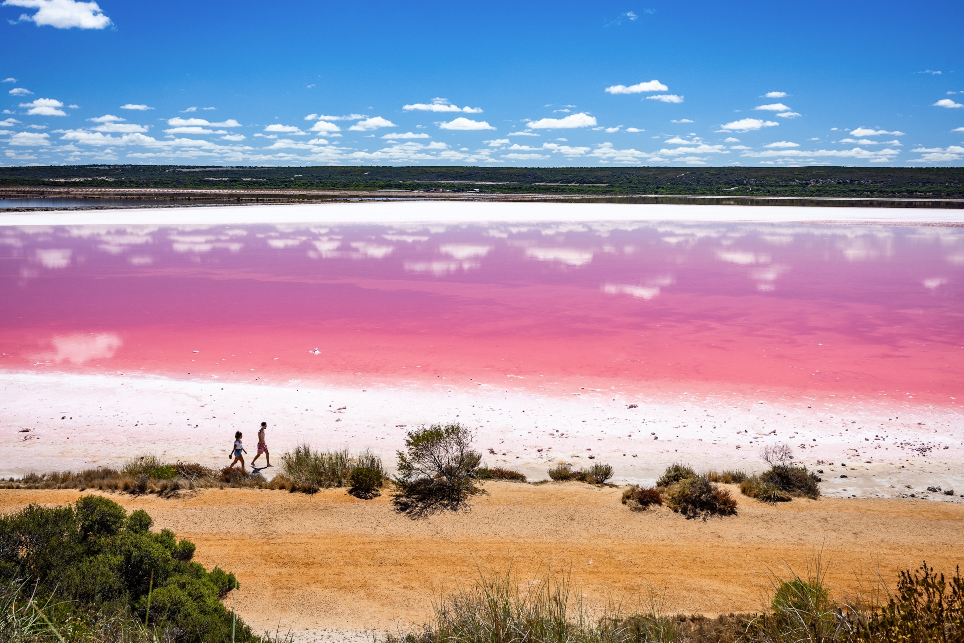 Australia's famous pink lakes are disappearing | National Geographic