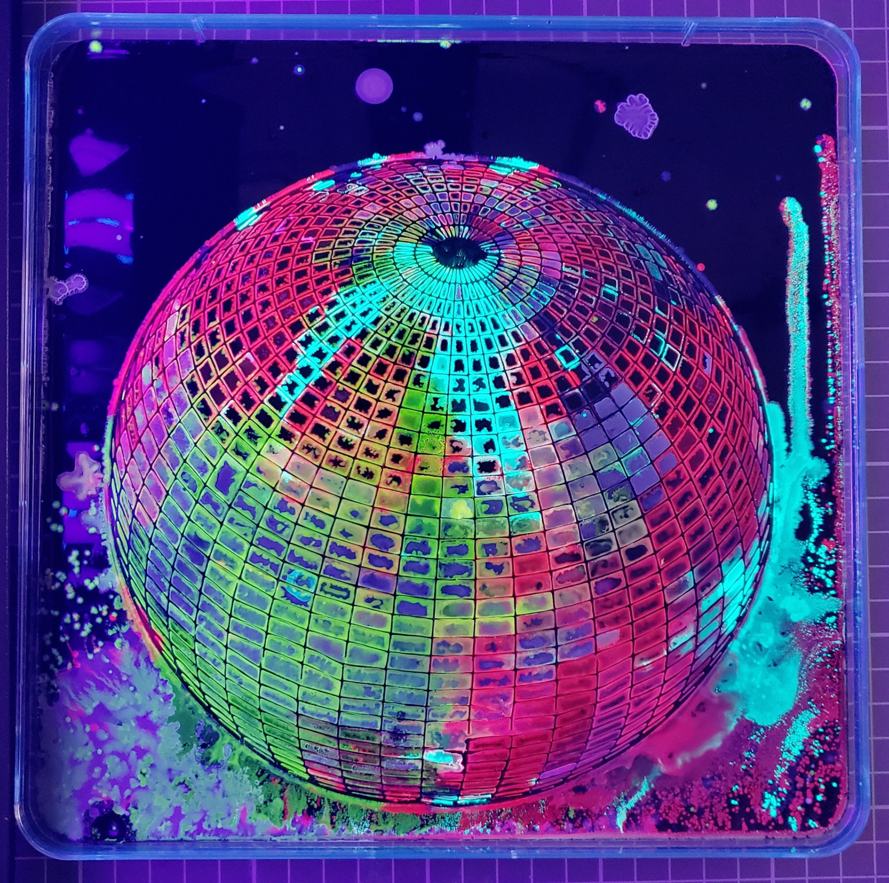 multicolor globe