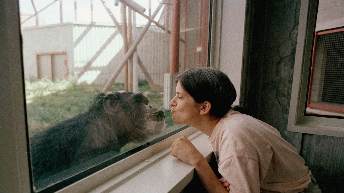 Will humans and animals ever be able to converse? Here’s what science ...